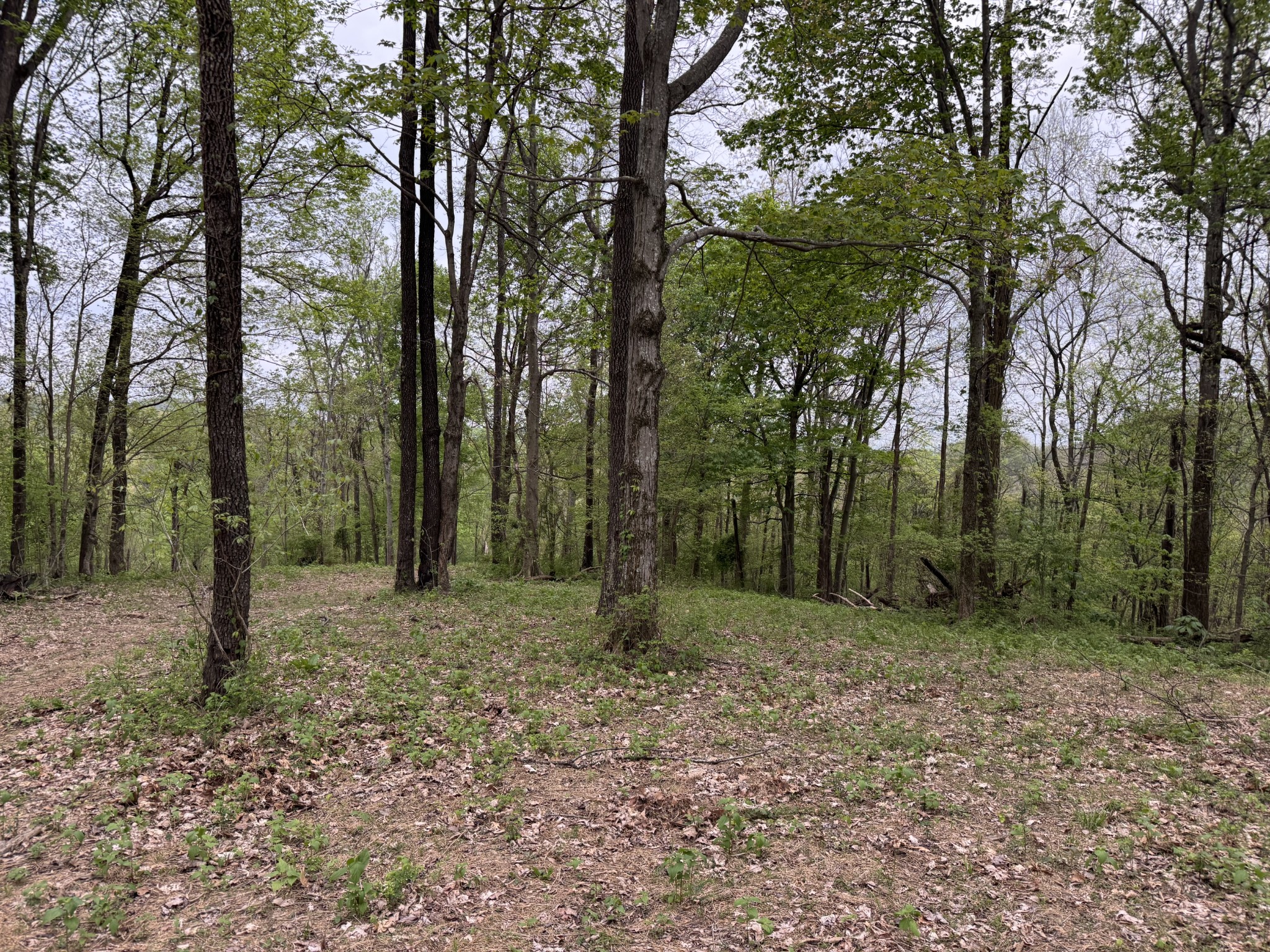 1331 Rock Bridge Rd Property Photo