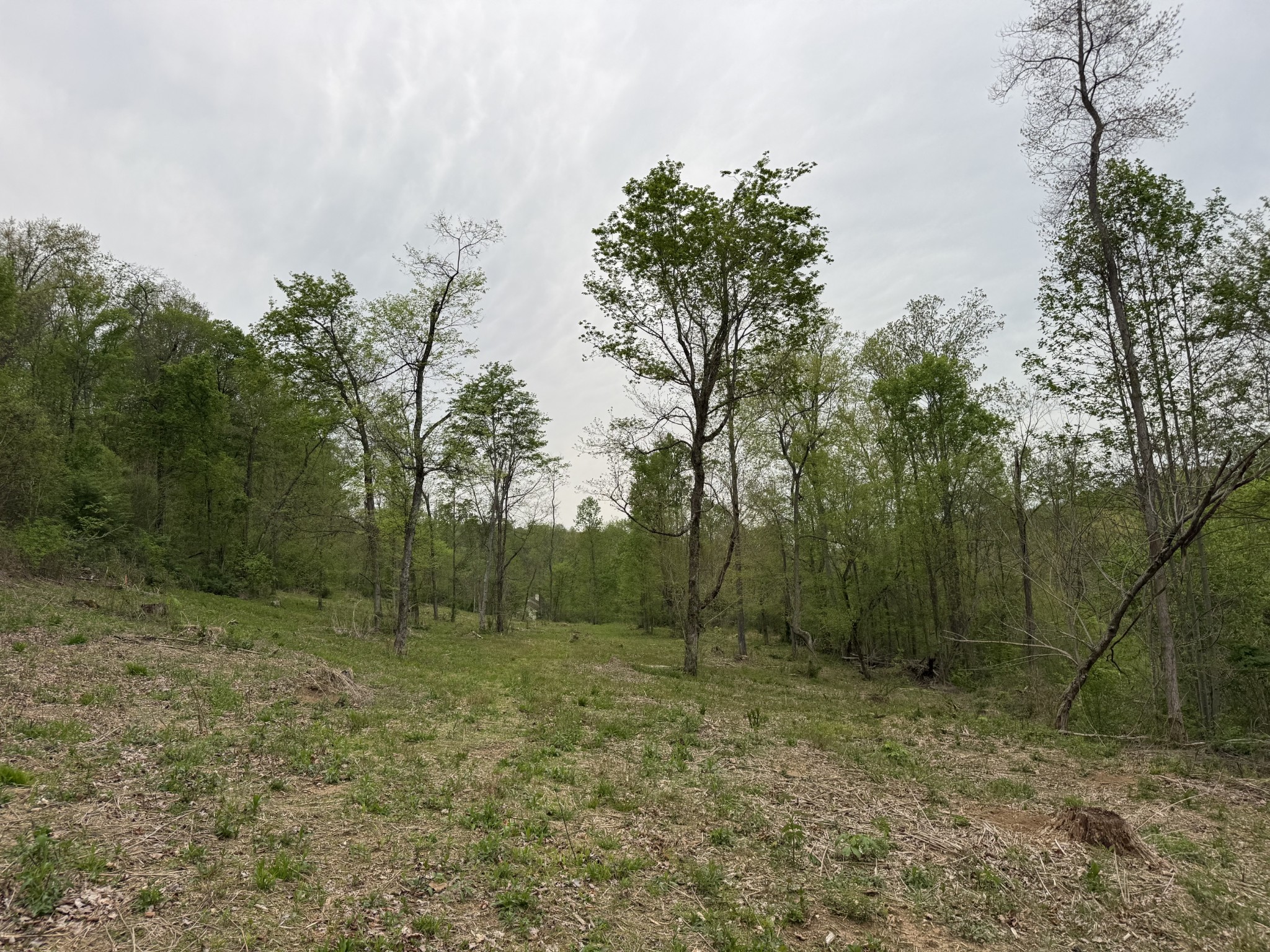 1323 Rock Bridge Rd Property Photo