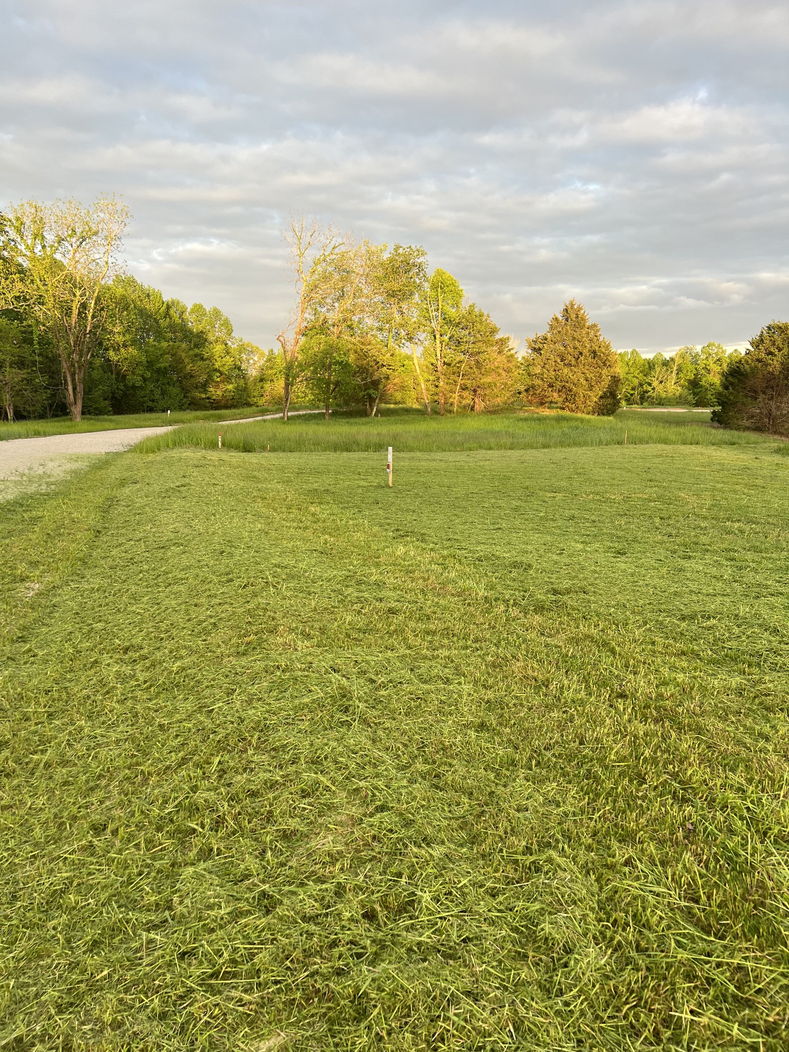 9360 Medlin Rd Property Photo 4