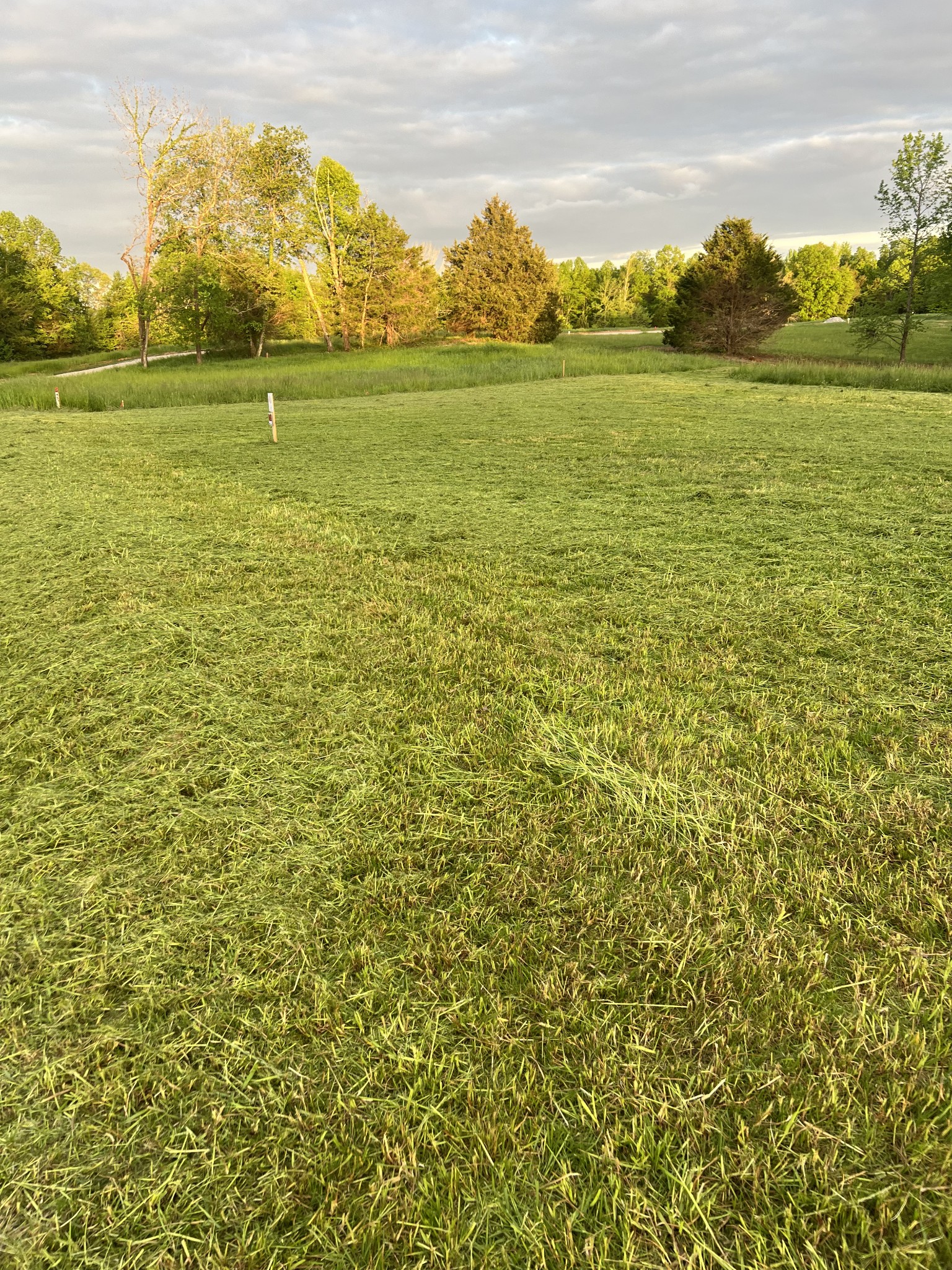 9360 Medlin Rd Property Photo 6