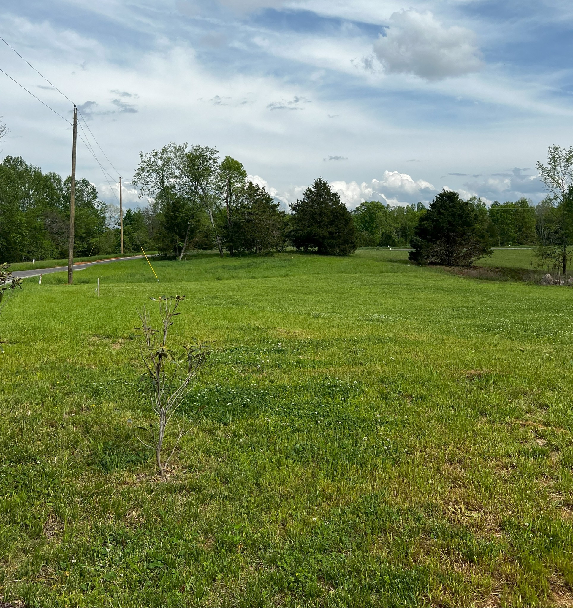 9360 Medlin Rd Property Photo 7