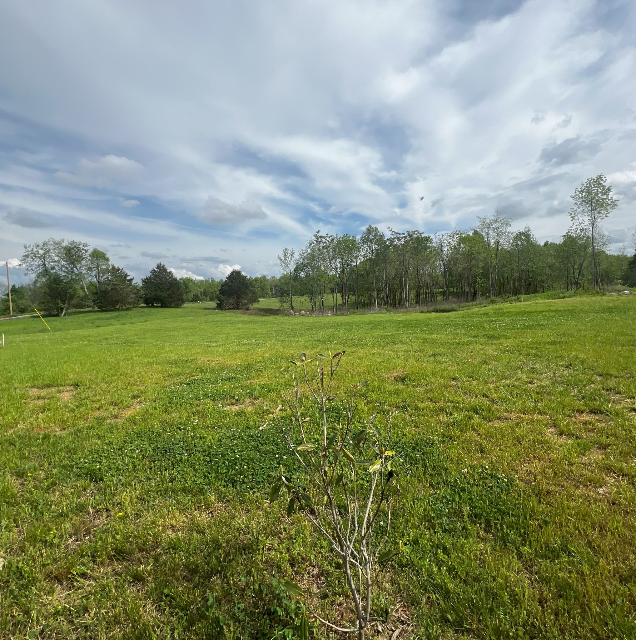 9360 Medlin Rd Property Photo 11