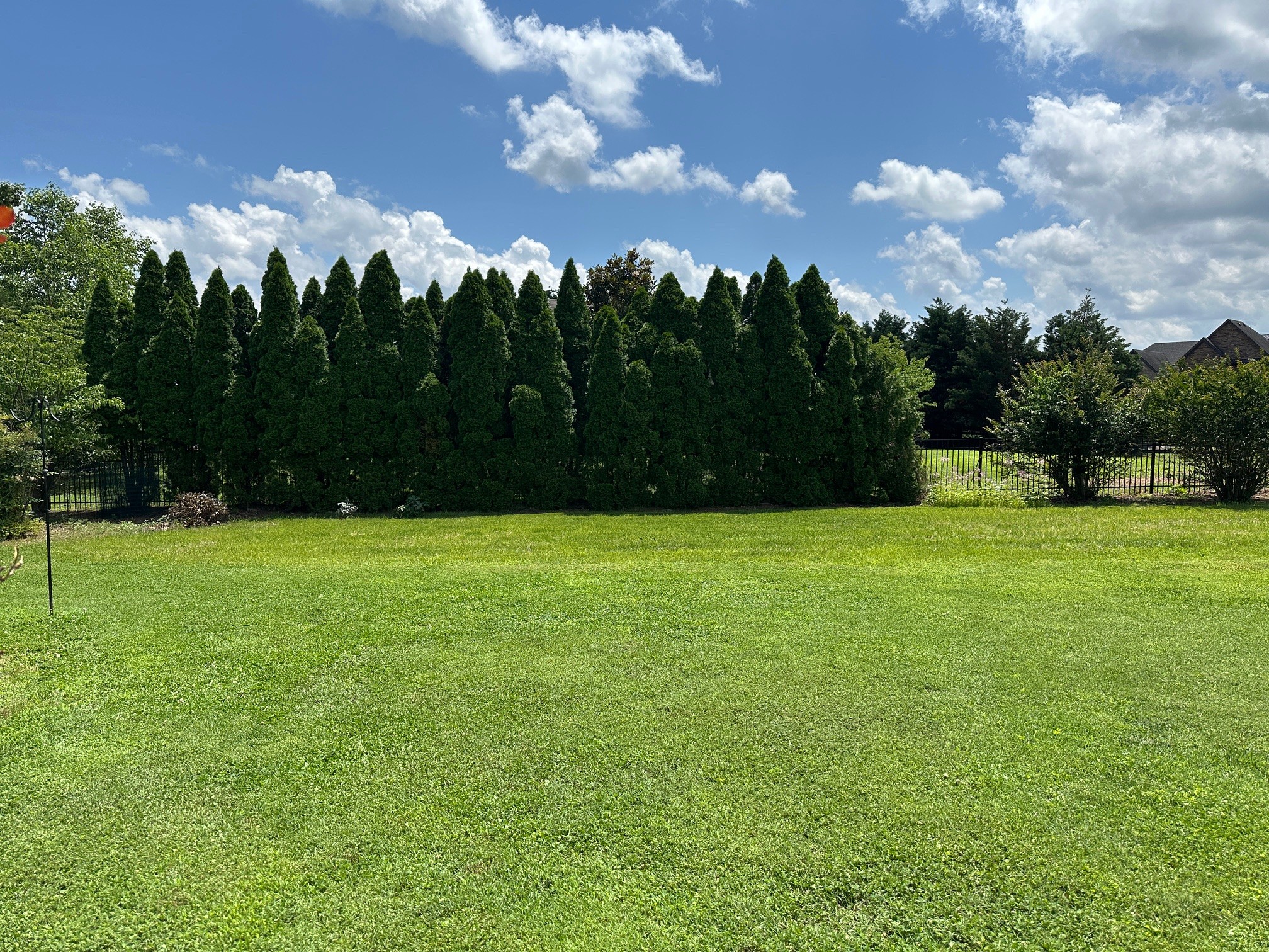1707 Andy Jackson Trl Property Photo 73