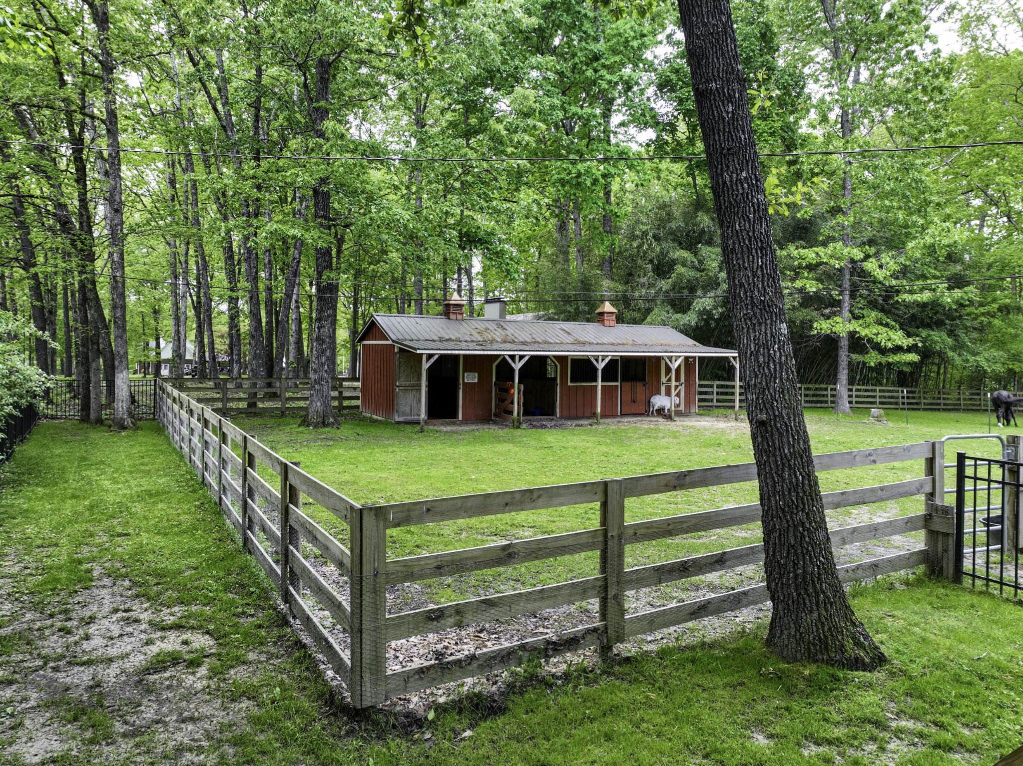 1442 Fairview Kingston Springs Road Property Photo 41