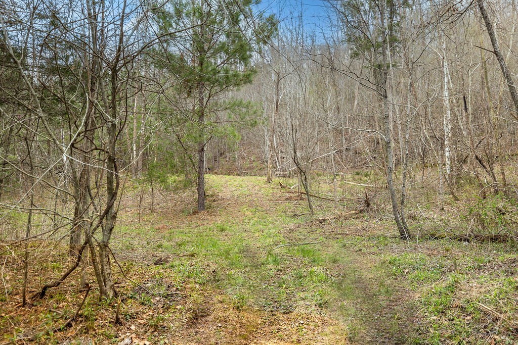 642 Goodman Branch Rd Property Photo 5