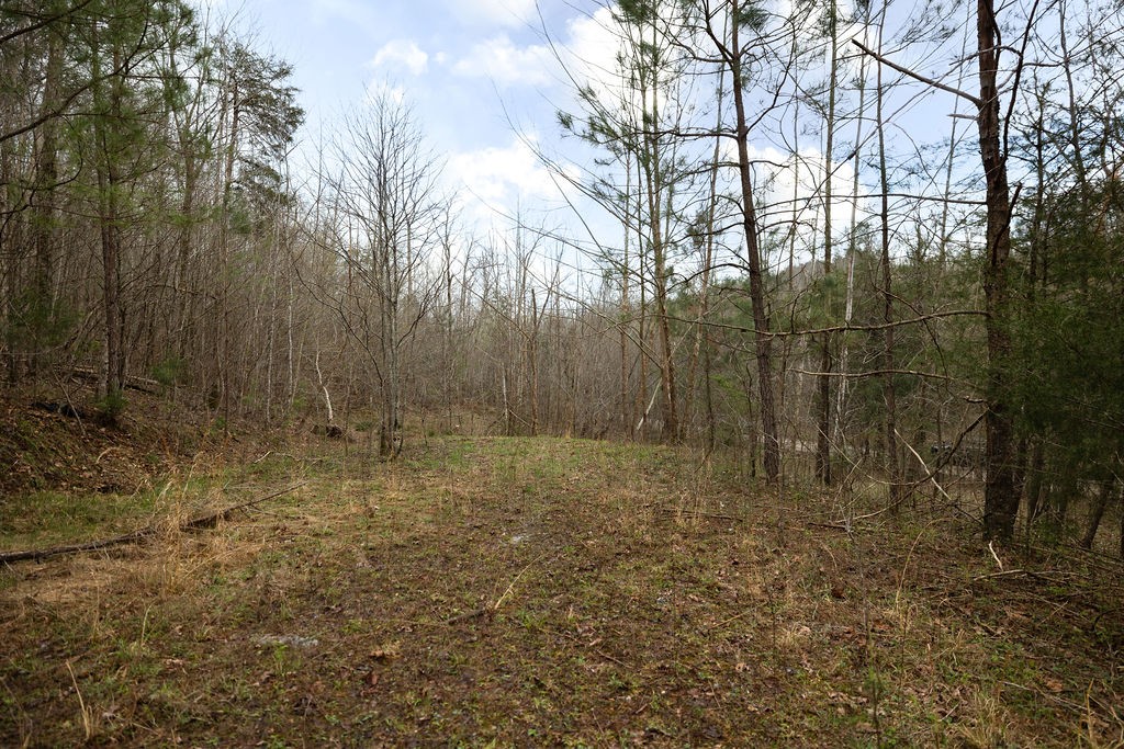 642 Goodman Branch Rd Property Photo 7