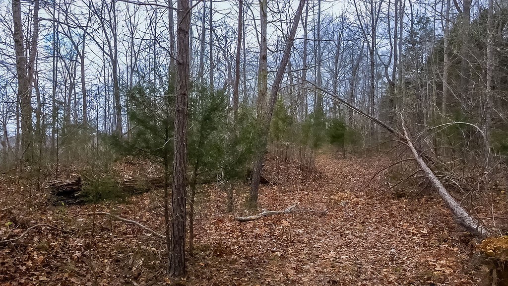 642 Goodman Branch Rd Property Photo 8