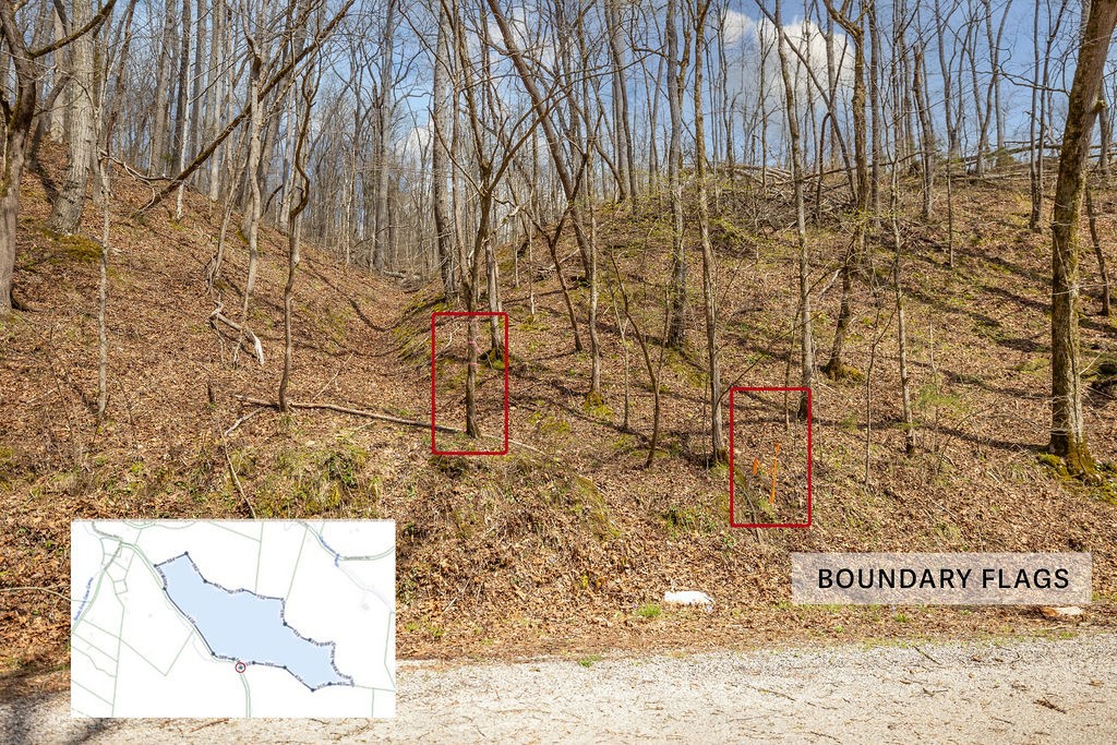 642 Goodman Branch Rd Property Photo 18