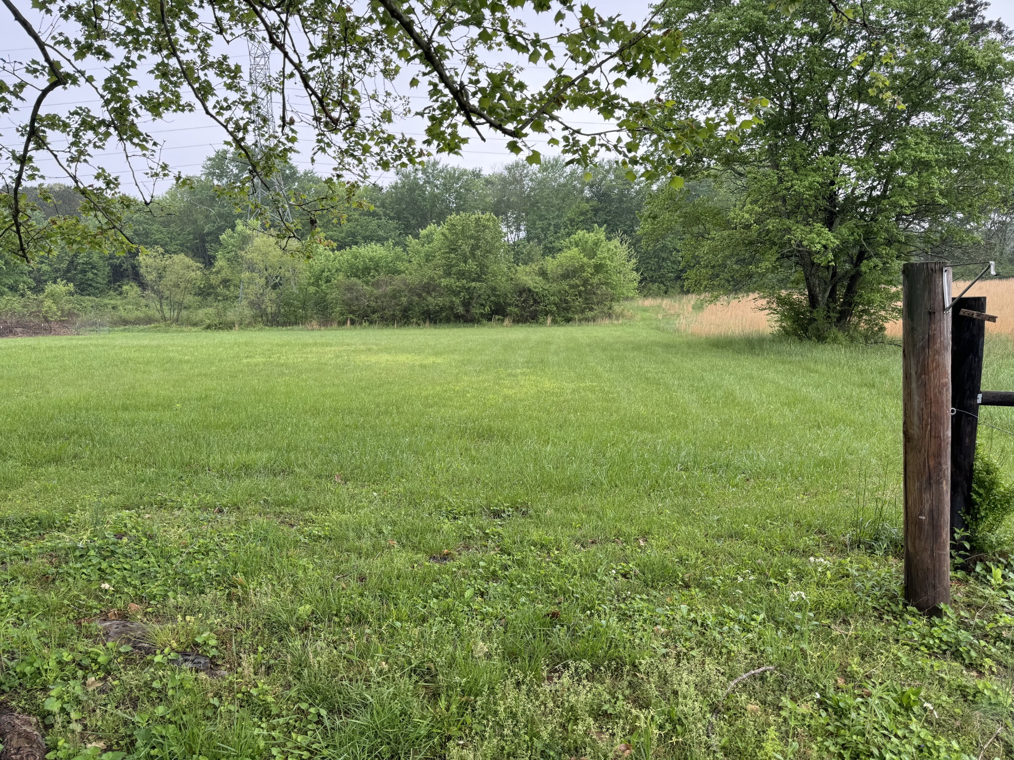 1837 Spring Creek Rd Property Photo