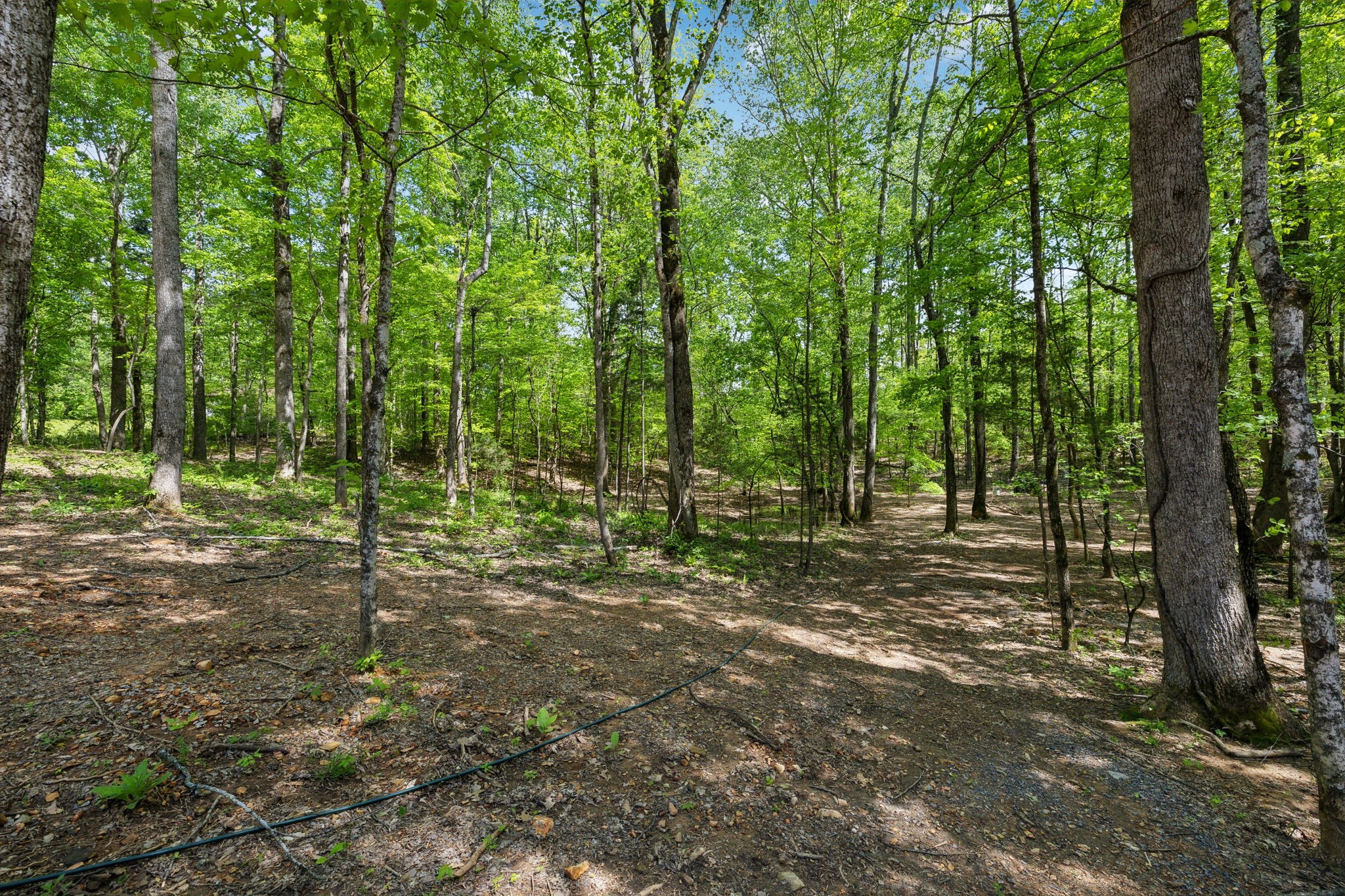 2217 Wiley Pardue Rd Property Photo 27