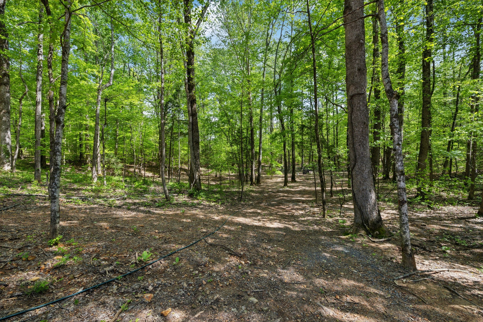 2217 Wiley Pardue Rd Property Photo 32