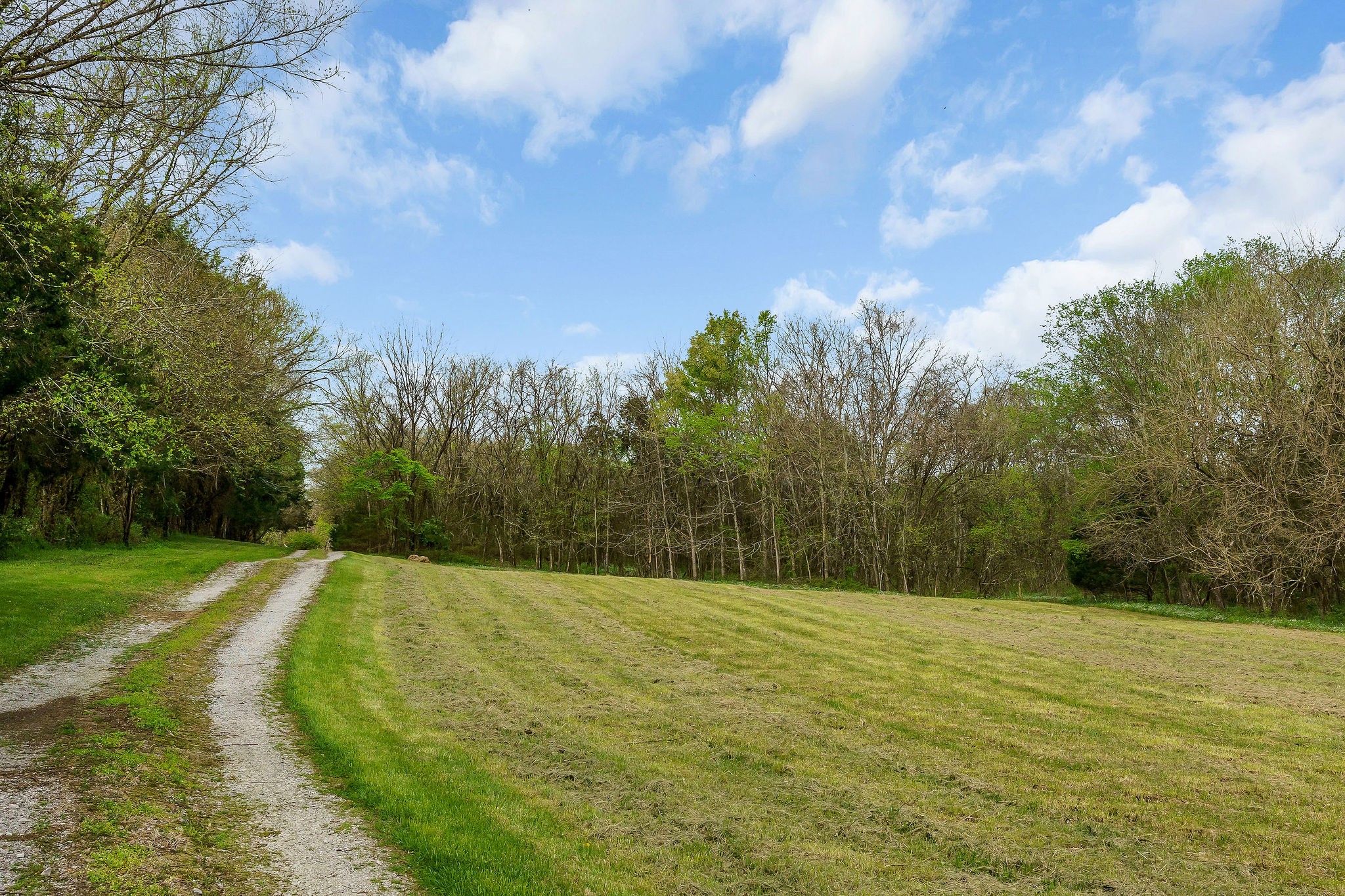 134 Opossum Hollow Rd Property Photo 30