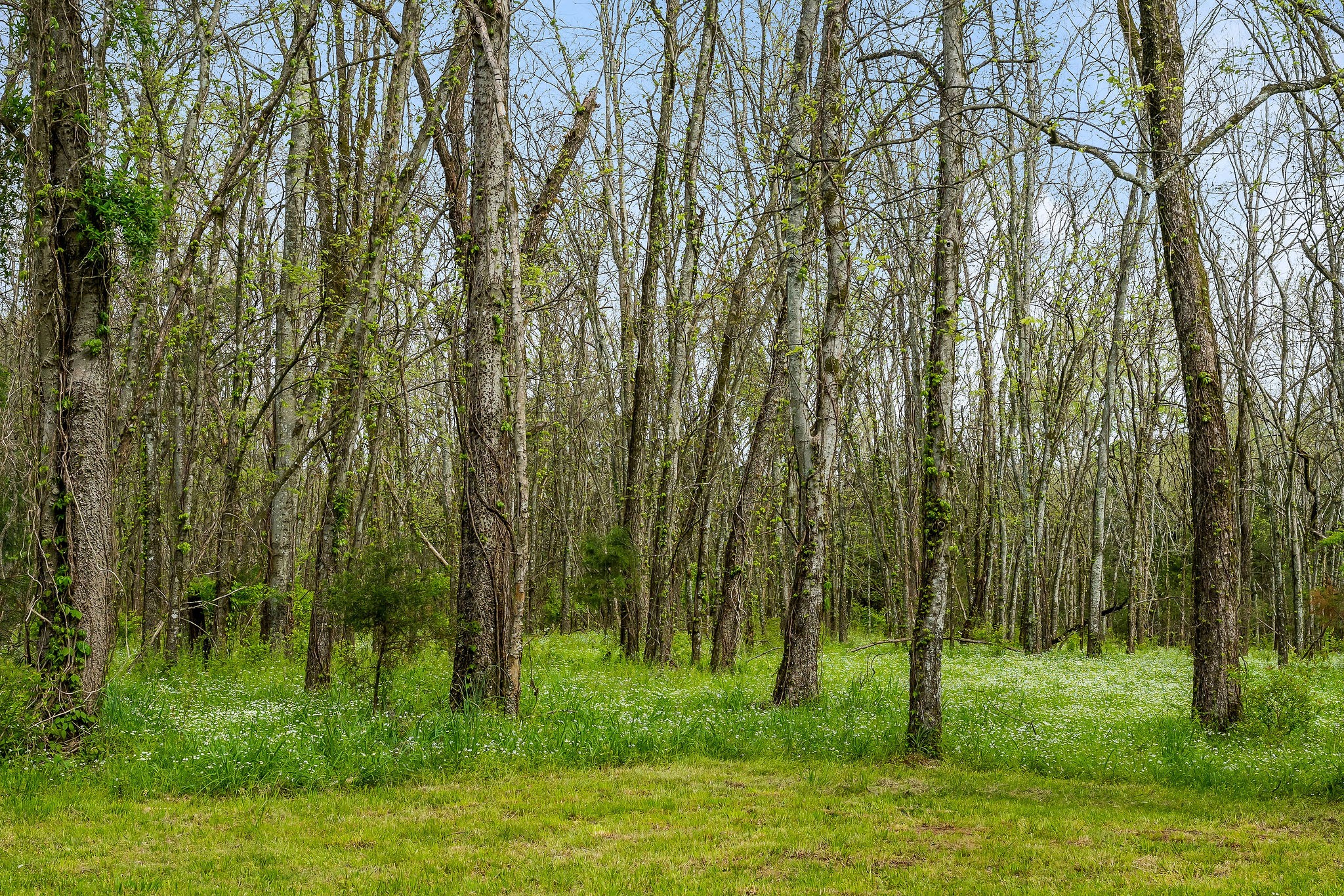 134 Opossum Hollow Rd Property Photo 31