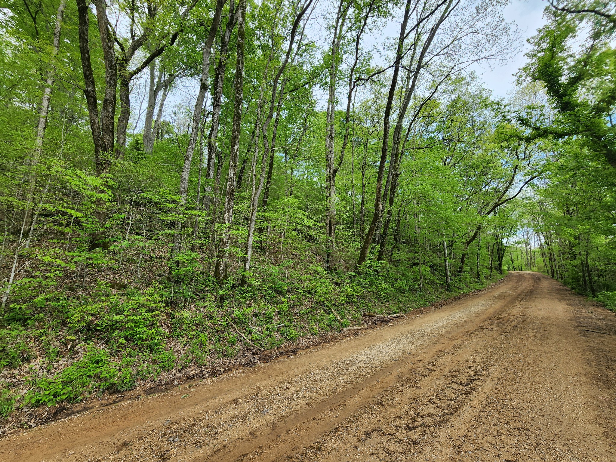 0 Walnut Grove Rd Property Photo