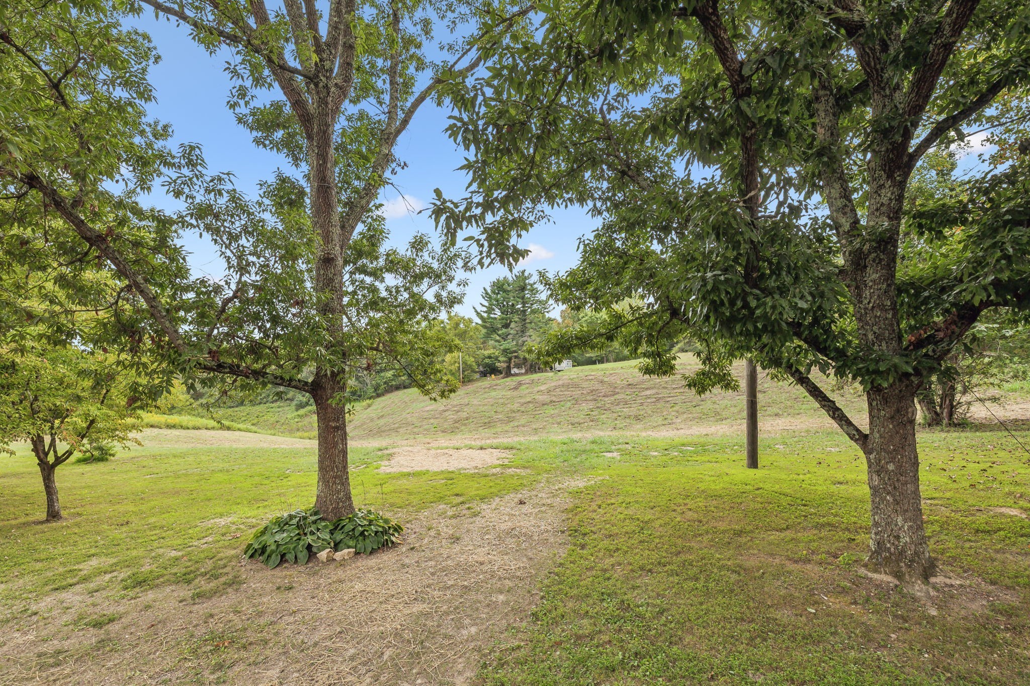 6510 Clemons Ridge Rd Property Photo 30