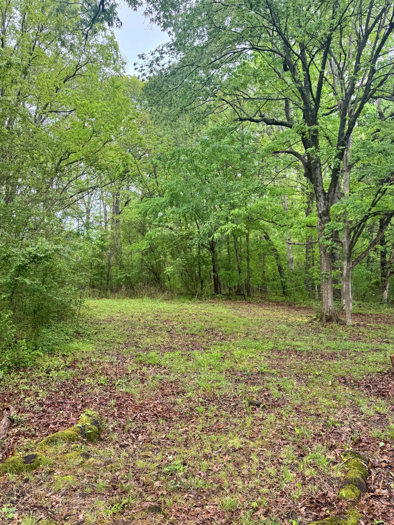 144 Post Oak Ave Property Photo 3