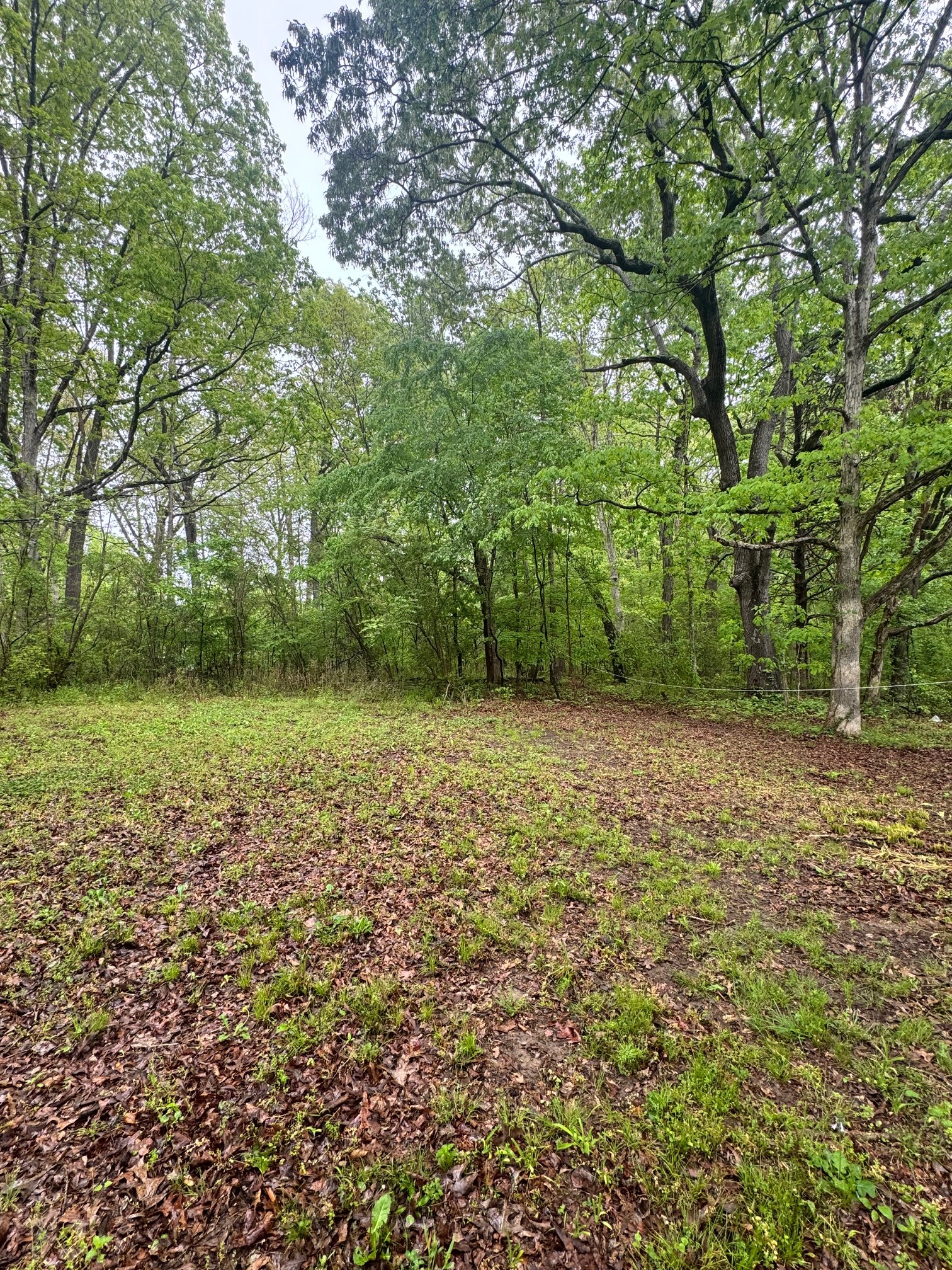 144 Post Oak Ave Property Photo 6