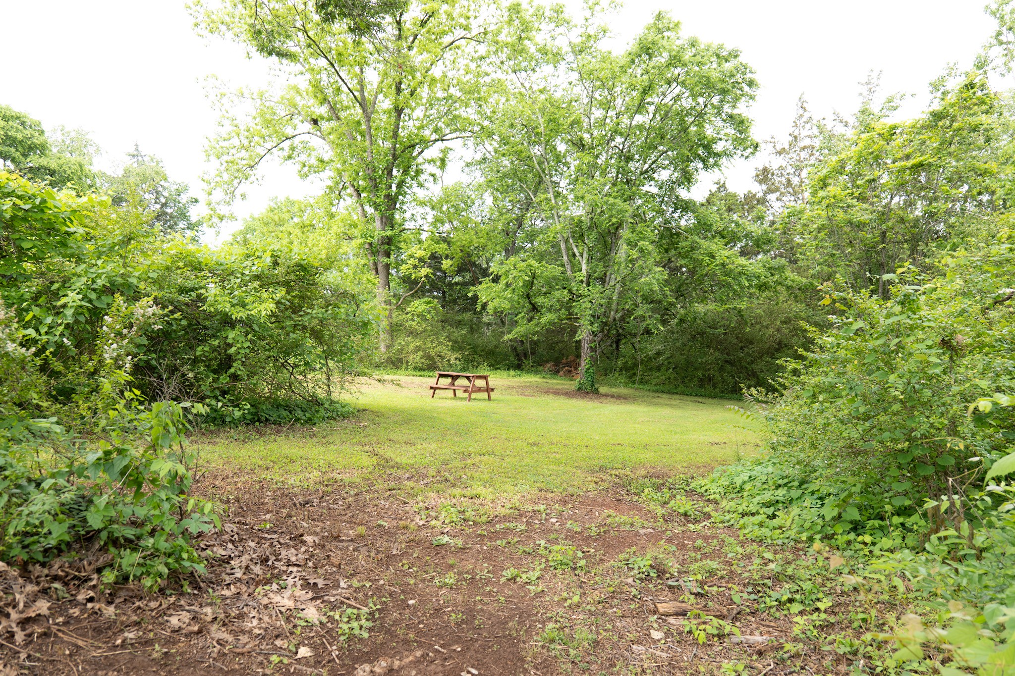 313 Jakes Ave Property Photo 11