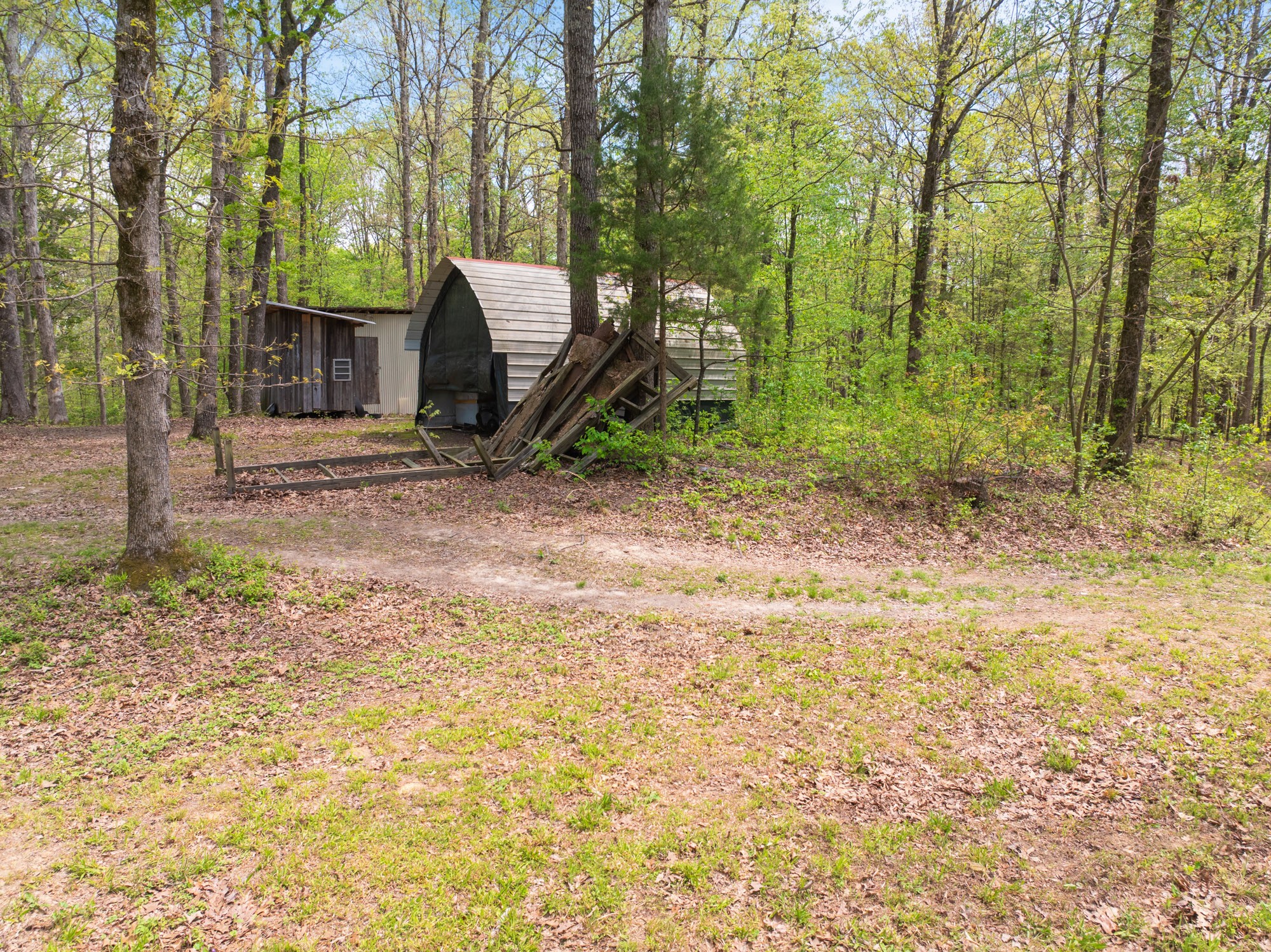 790 Roan Creek Levee Rd Property Photo 5