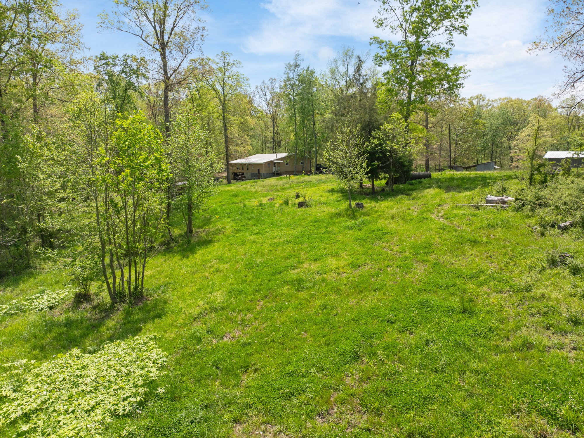 790 Roan Creek Levee Rd Property Photo 7