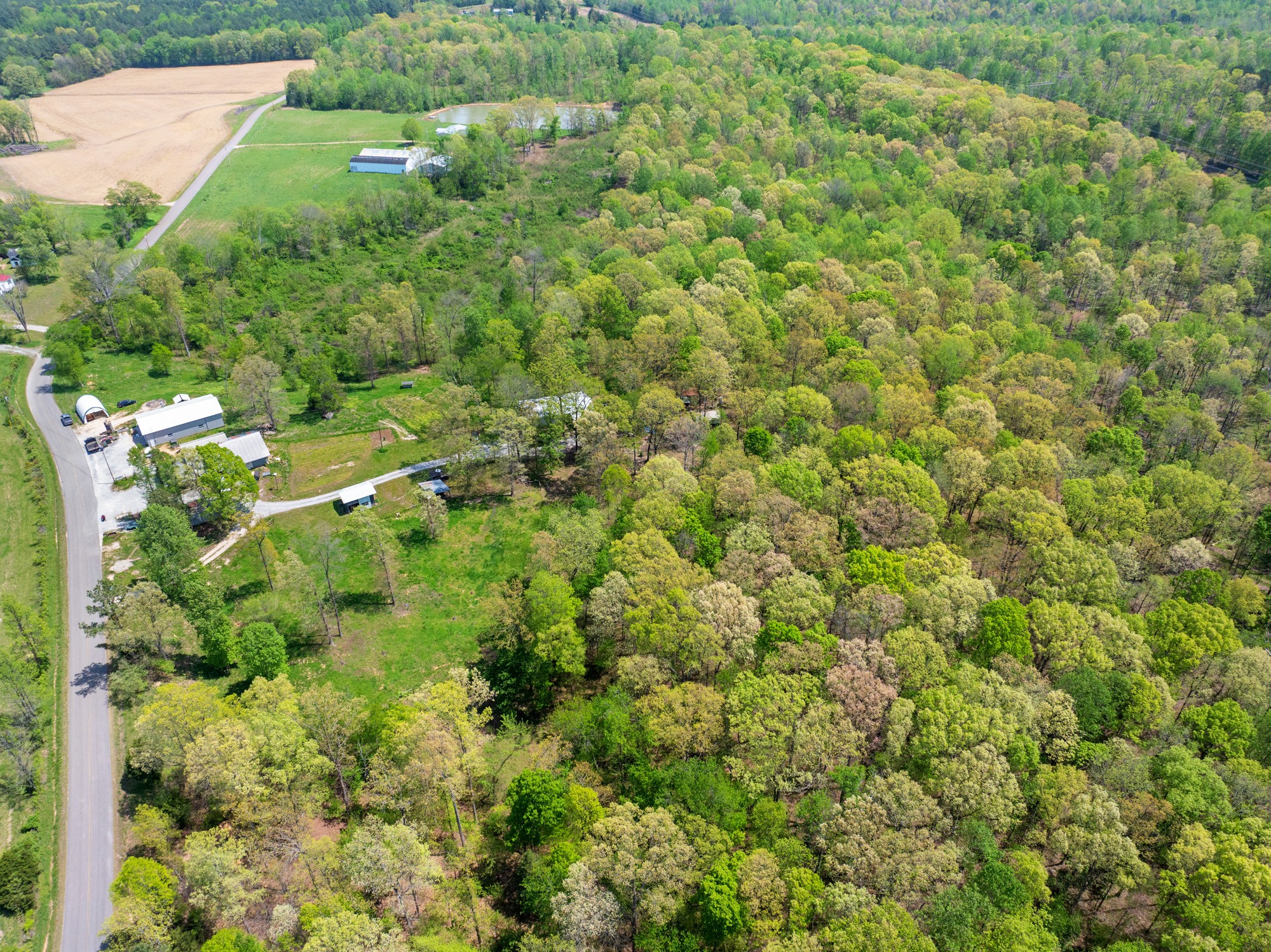 790 Roan Creek Levee Rd Property Photo 8