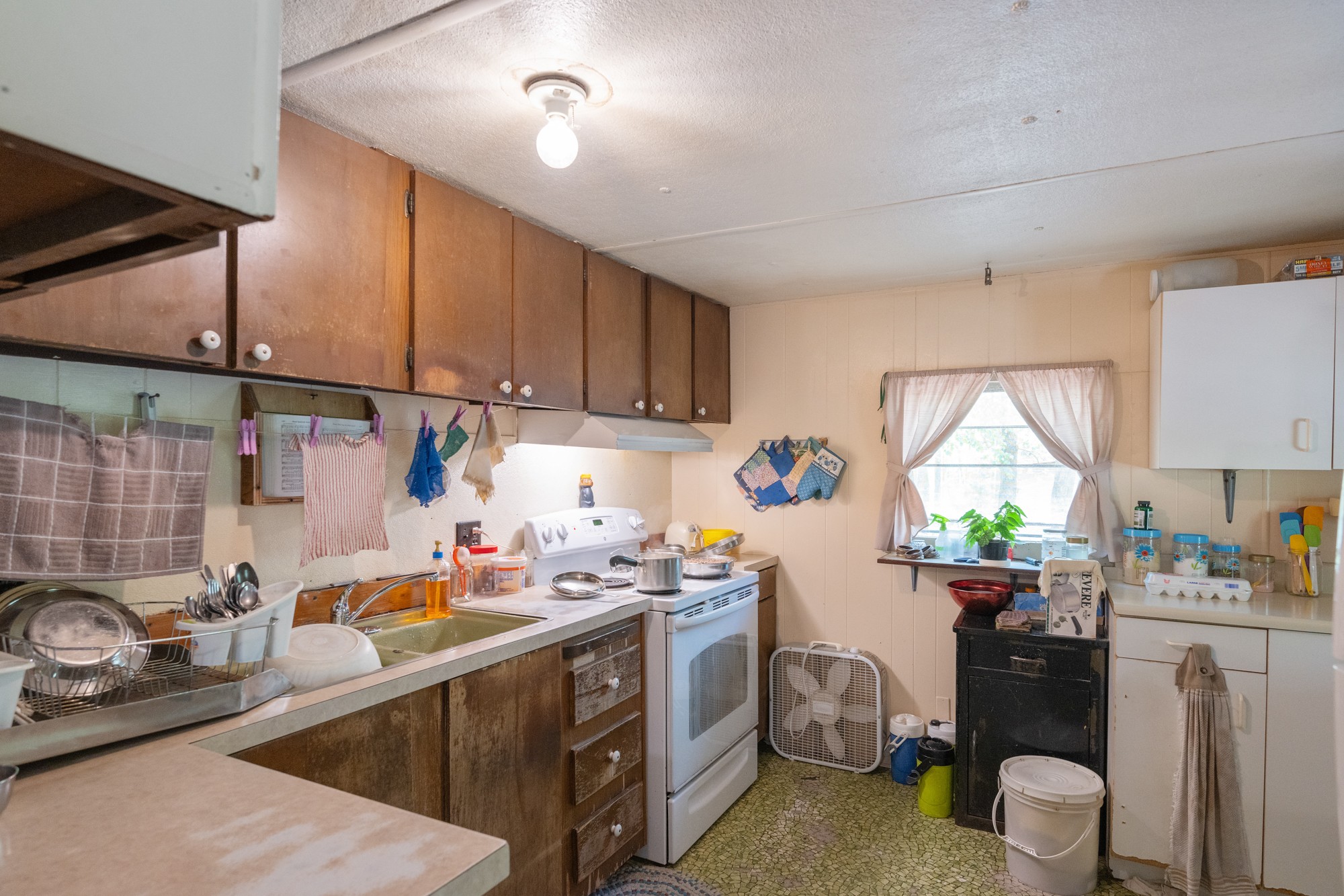 790 Roan Creek Levee Rd Property Photo 19
