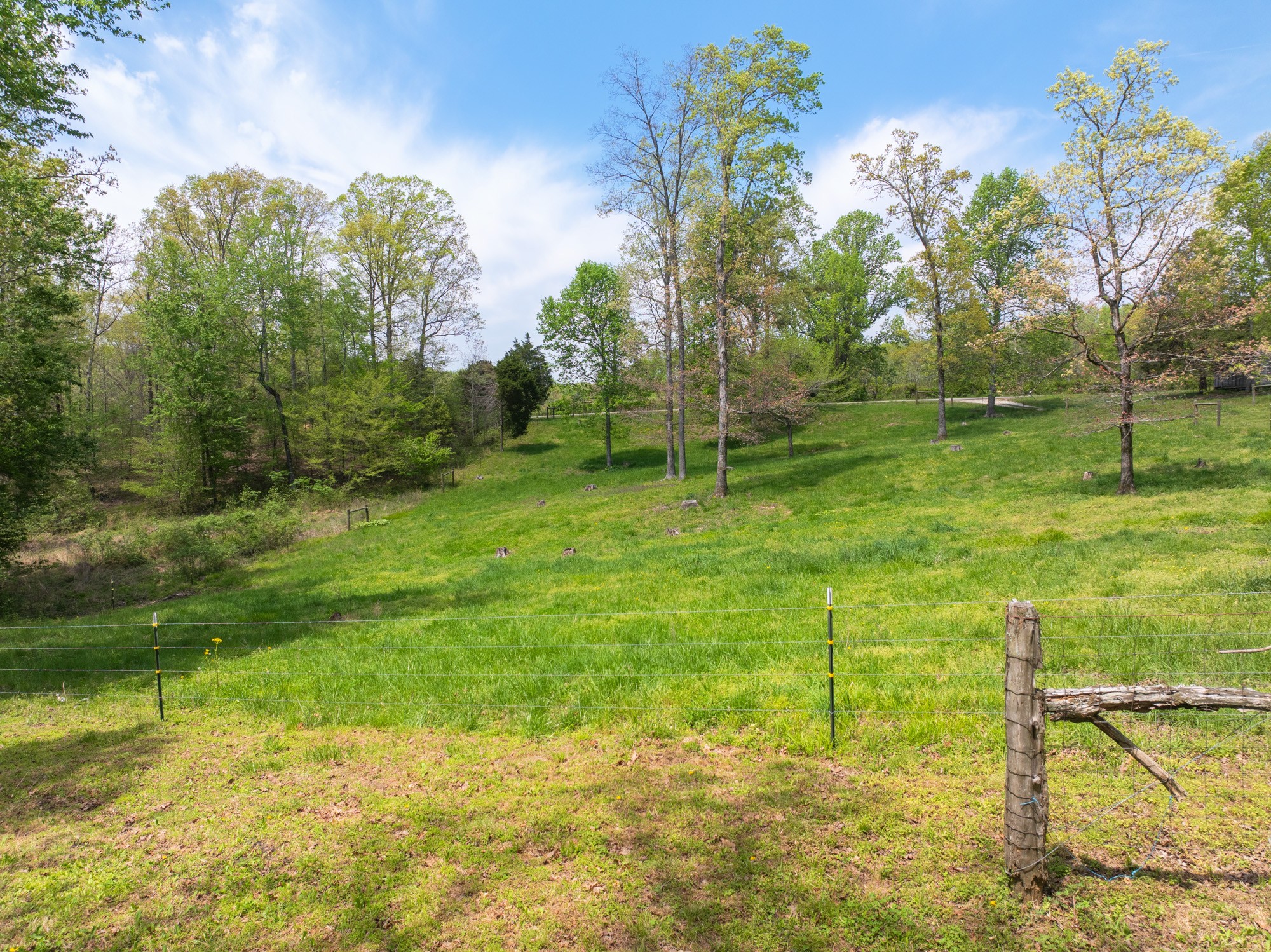 790 Roan Creek Levee Rd Property Photo 28