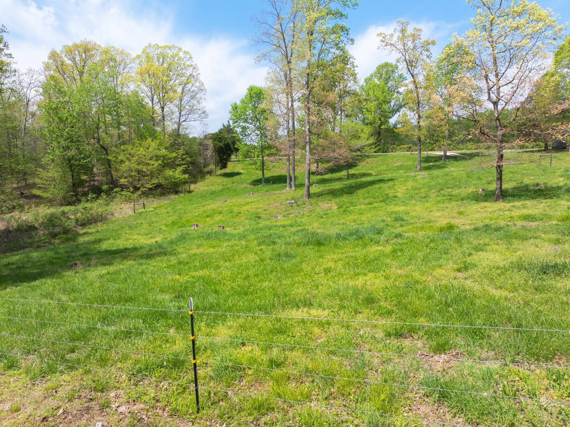 790 Roan Creek Levee Rd Property Photo 29