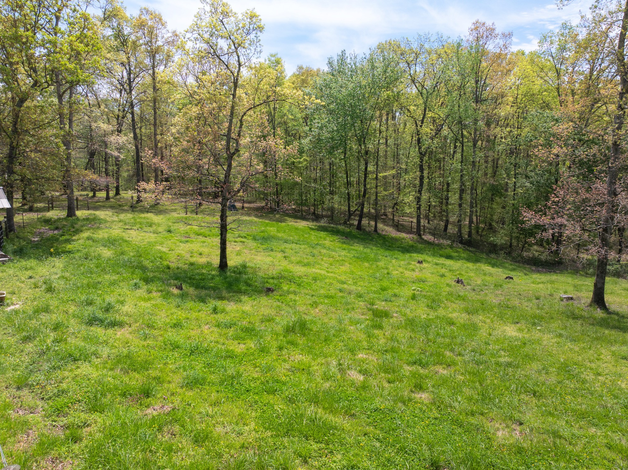 790 Roan Creek Levee Rd Property Photo 30