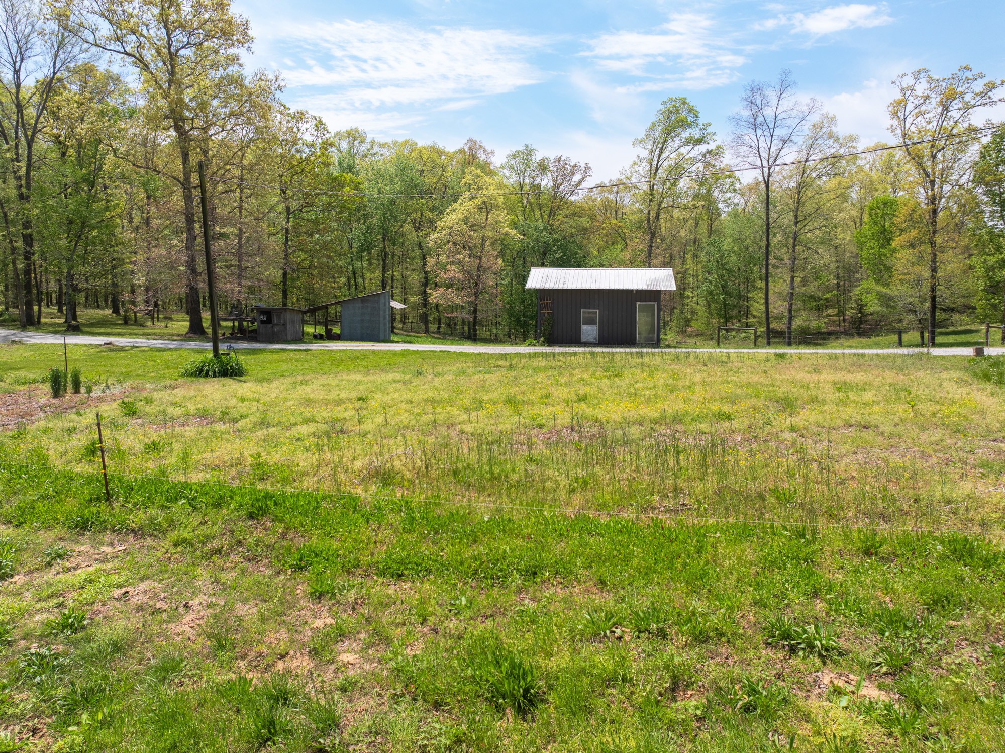 790 Roan Creek Levee Rd Property Photo 31