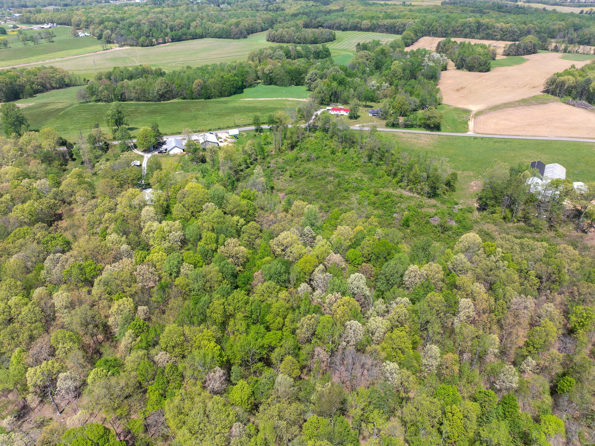 790 Roan Creek Levee Rd Property Photo 34