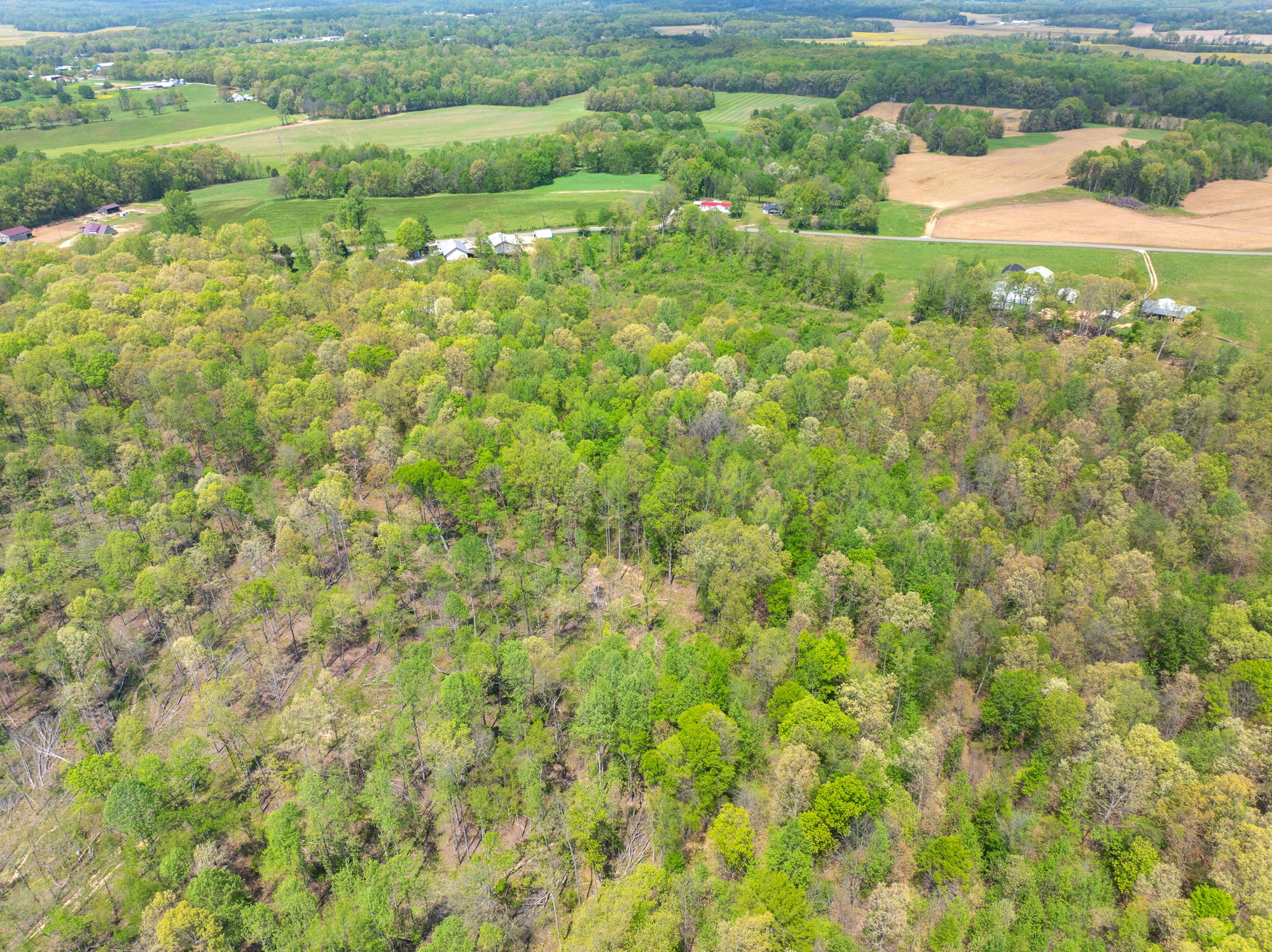 790 Roan Creek Levee Rd Property Photo 35