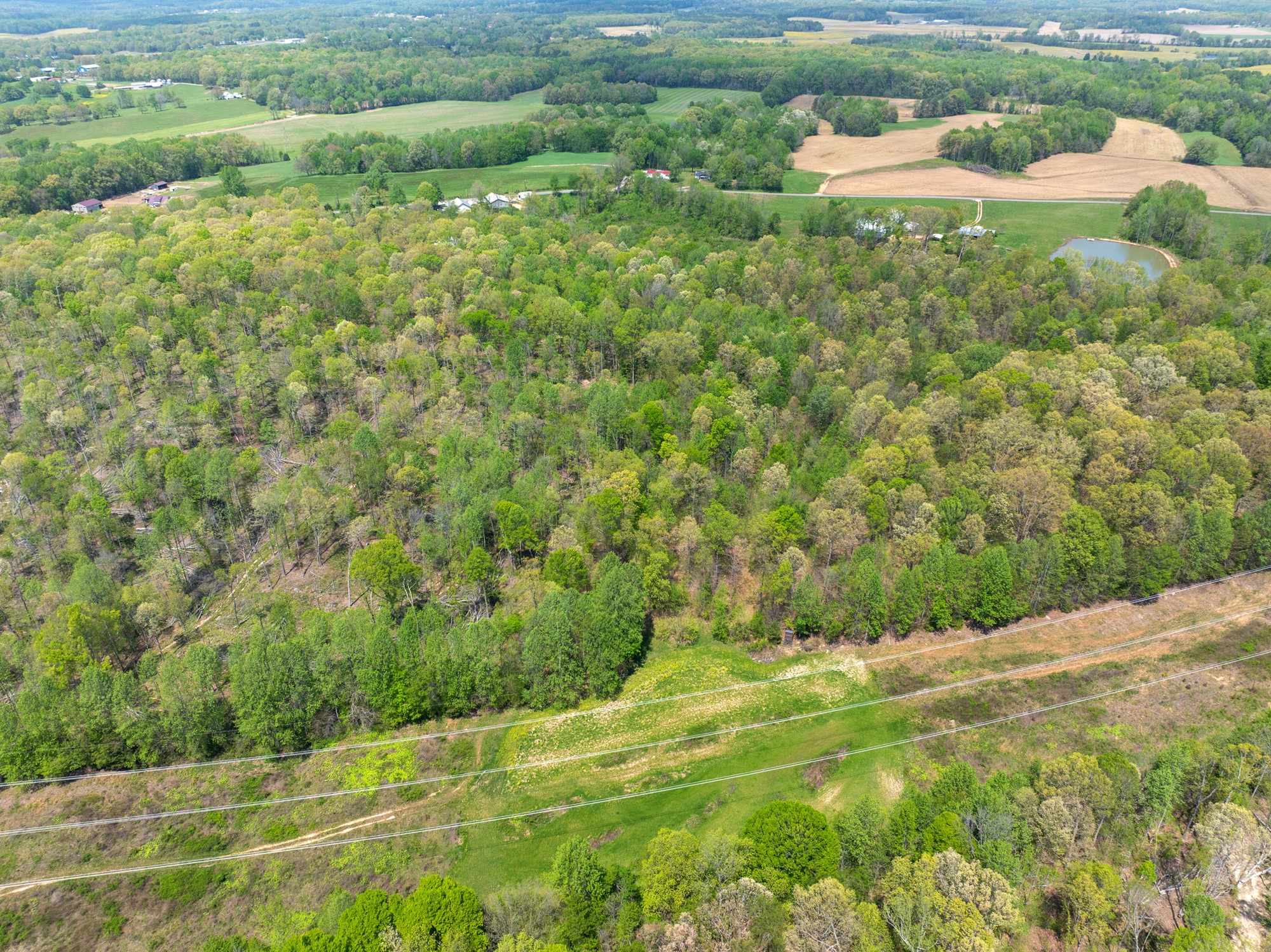 790 Roan Creek Levee Rd Property Photo 36