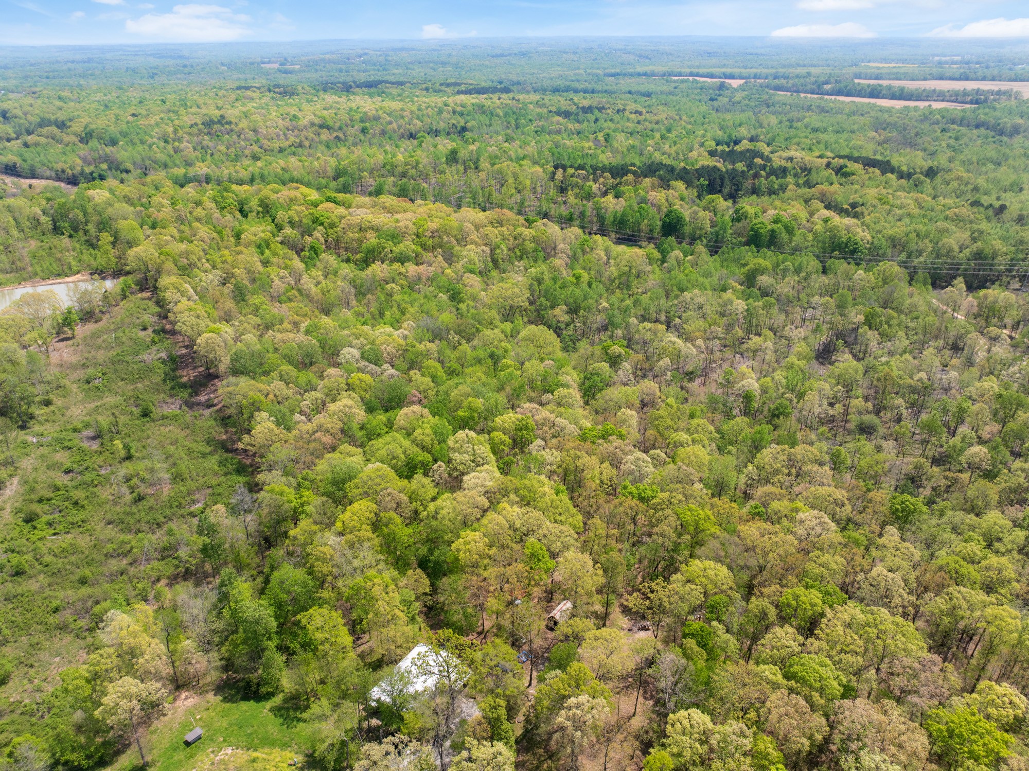 790 Roan Creek Levee Rd Property Photo 37
