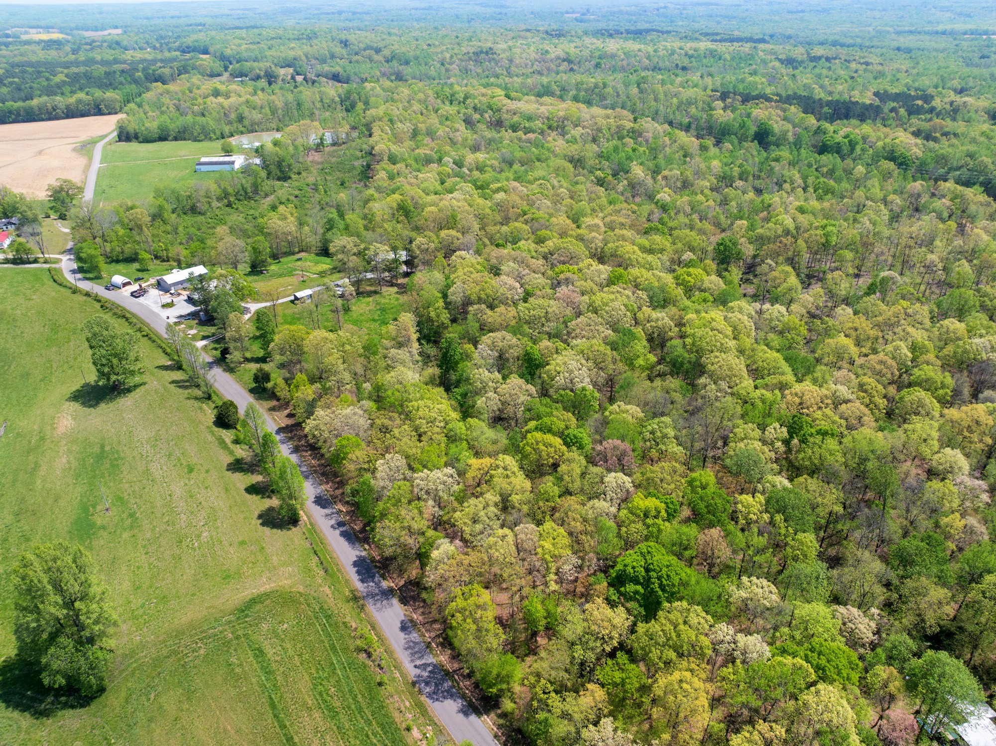 790 Roan Creek Levee Rd Property Photo 42
