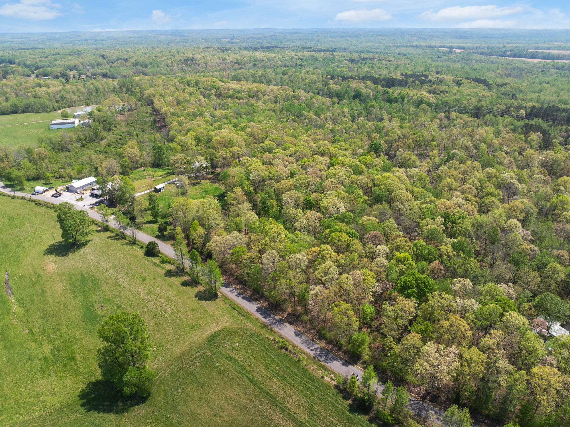 790 Roan Creek Levee Rd Property Photo 44