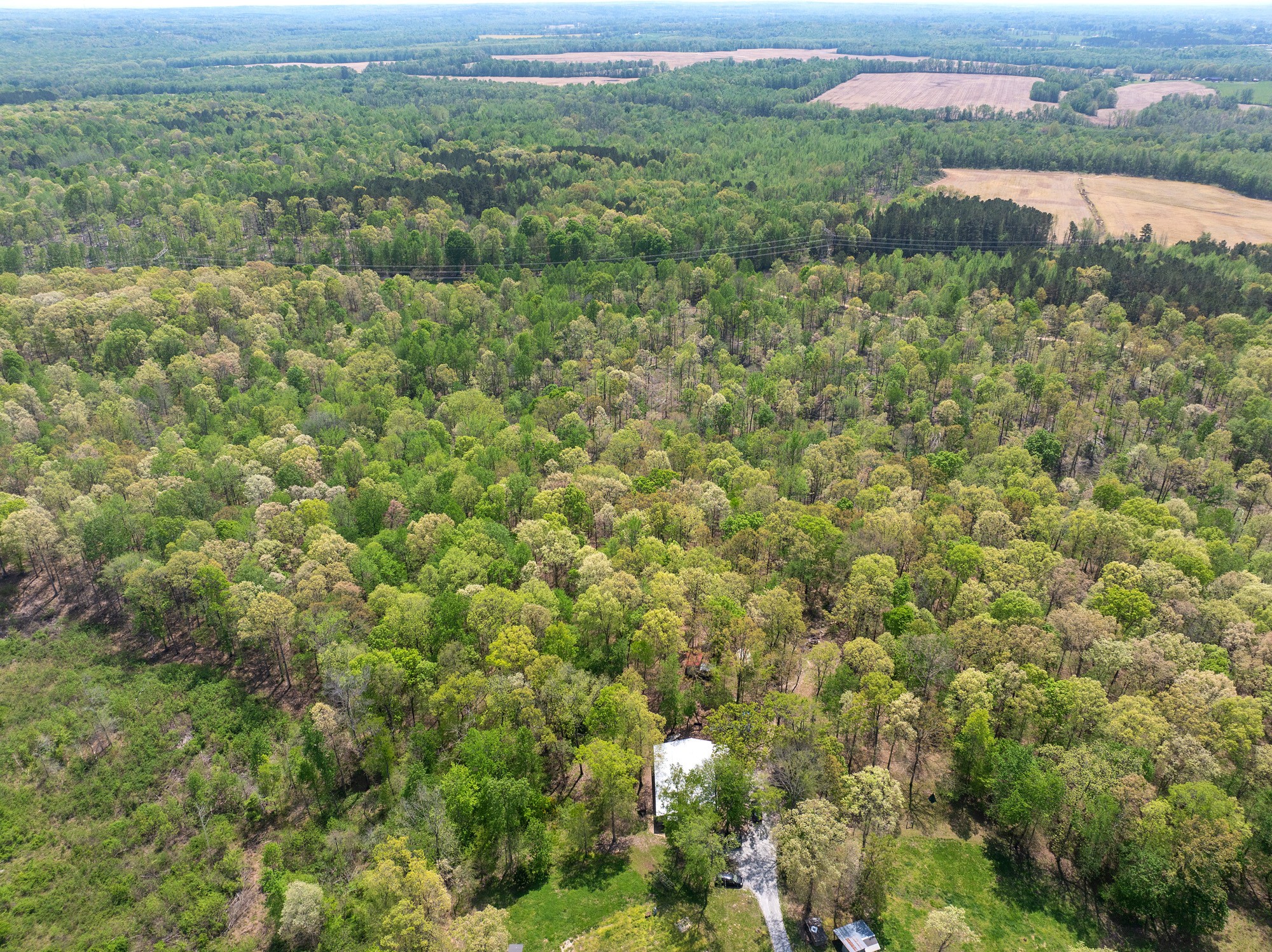 790 Roan Creek Levee Rd Property Photo 46