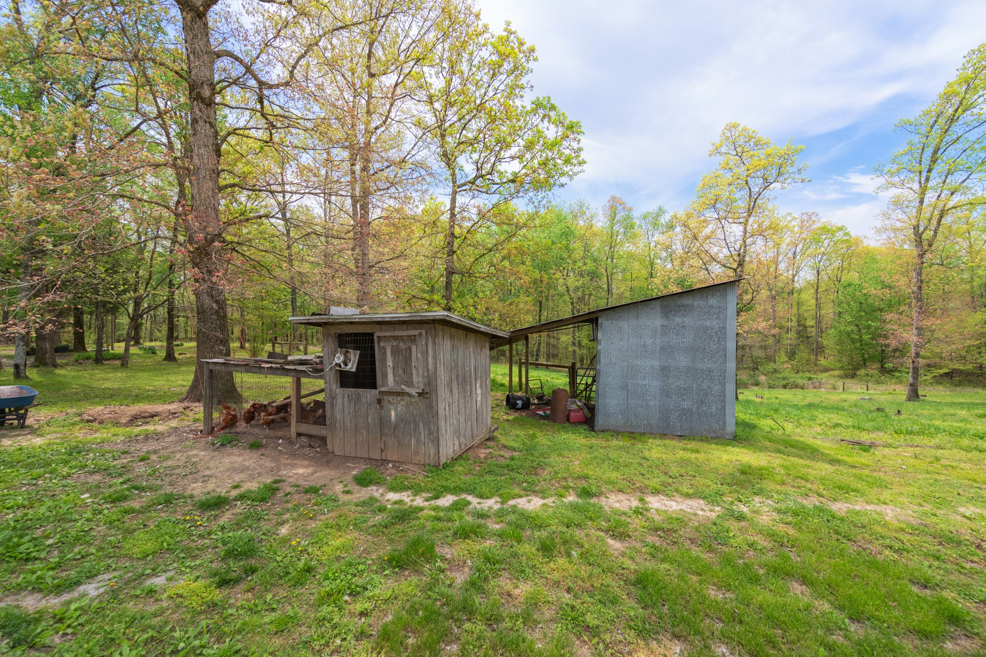 790 Roan Creek Levee Rd Property Photo 47