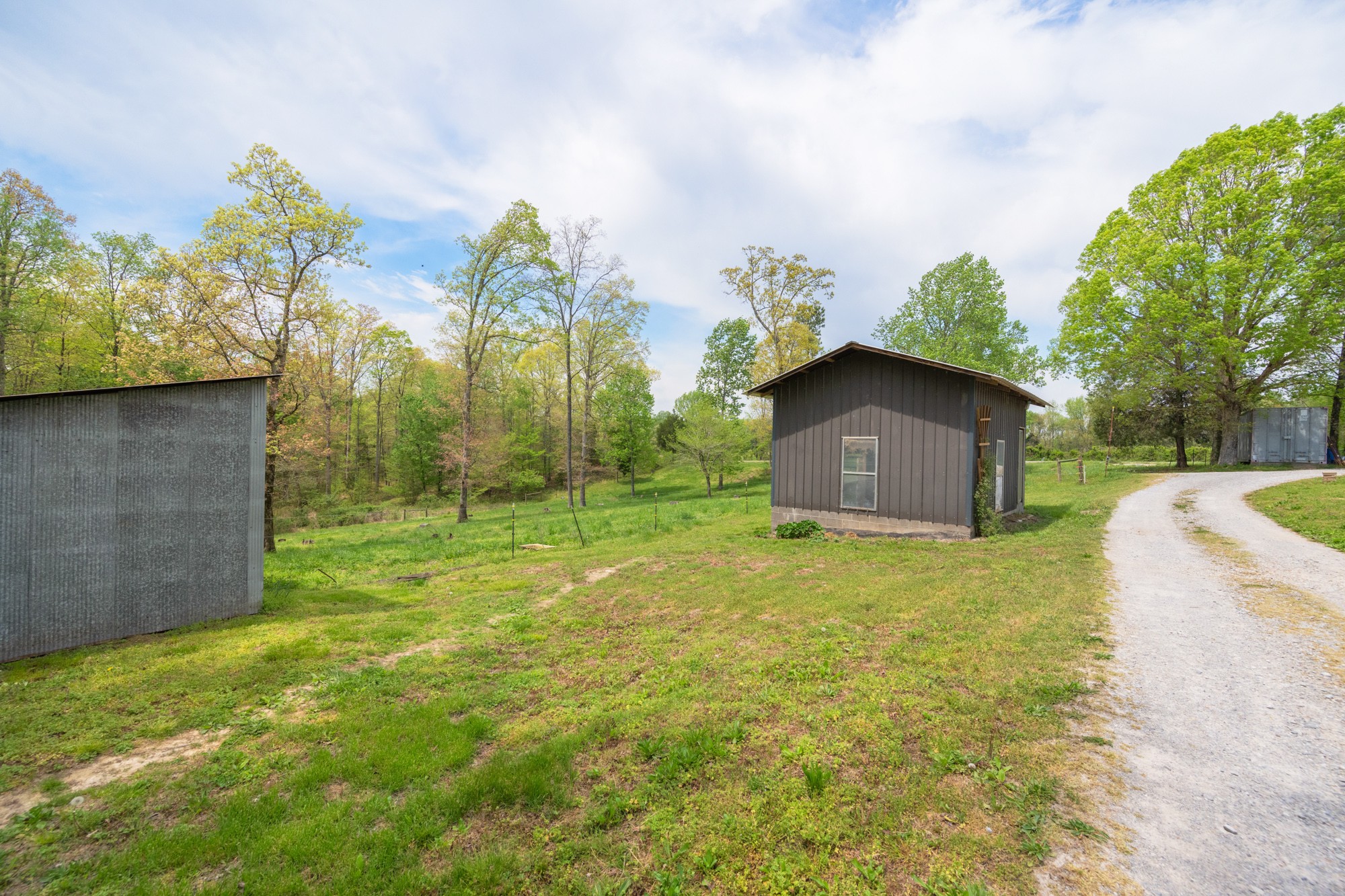 790 Roan Creek Levee Rd Property Photo 48