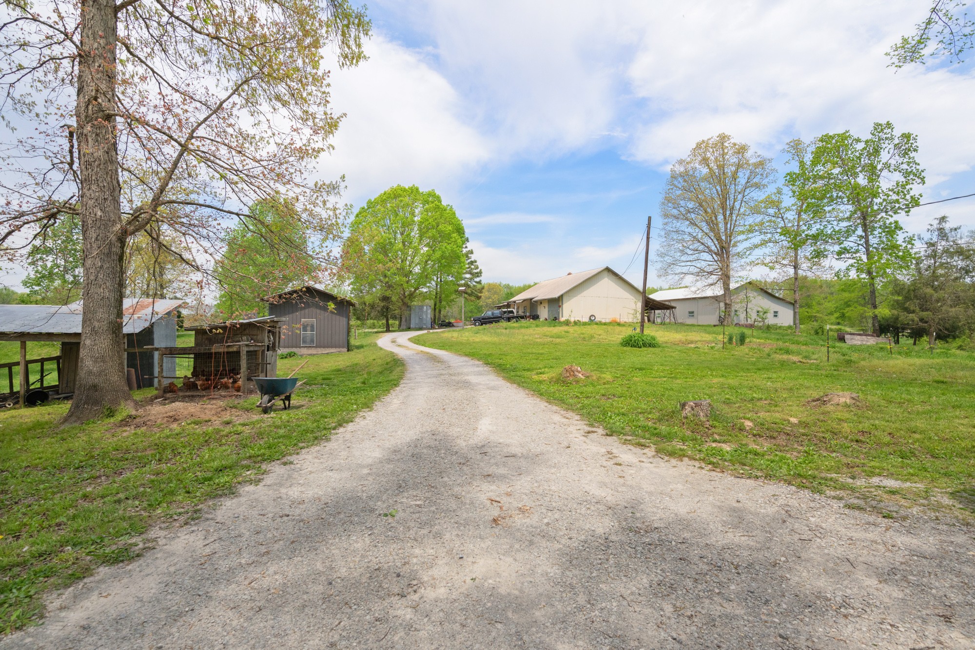790 Roan Creek Levee Rd Property Photo 49