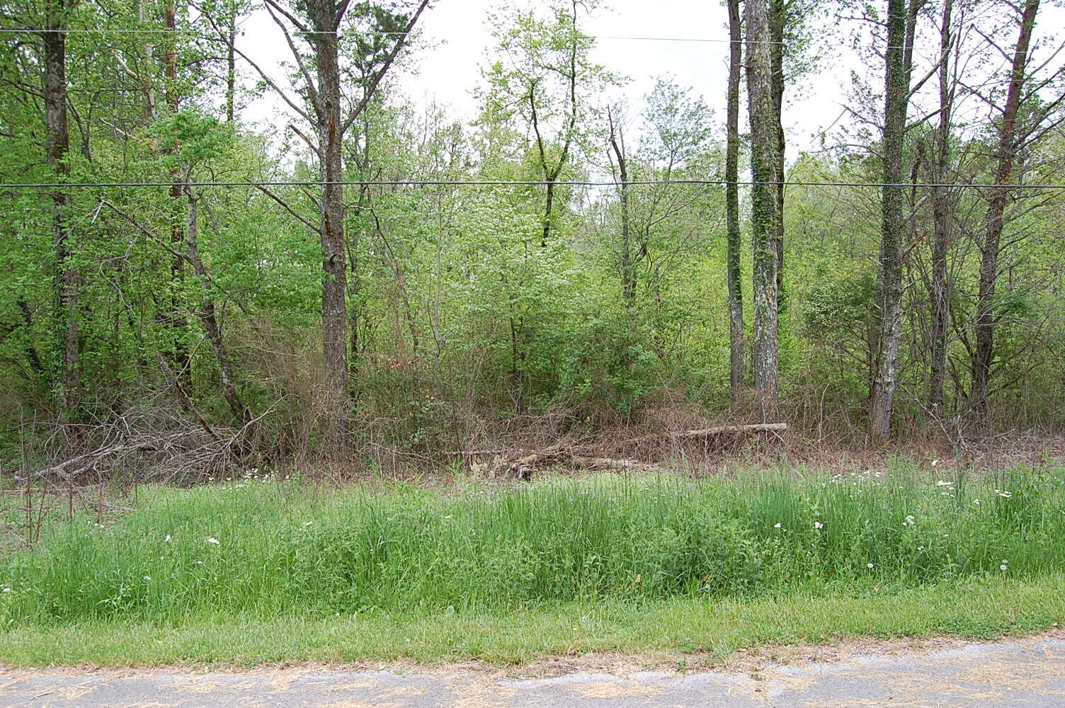66 51st Avenue Property Photo