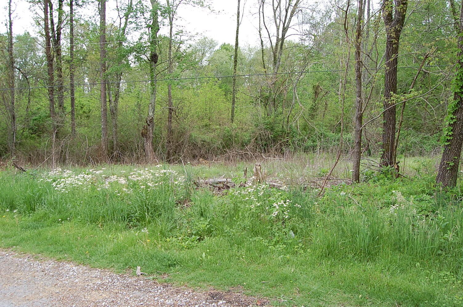 67 51st Avenue Property Photo