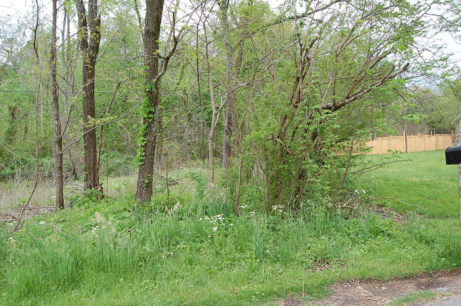 67 51st Avenue Property Photo 2