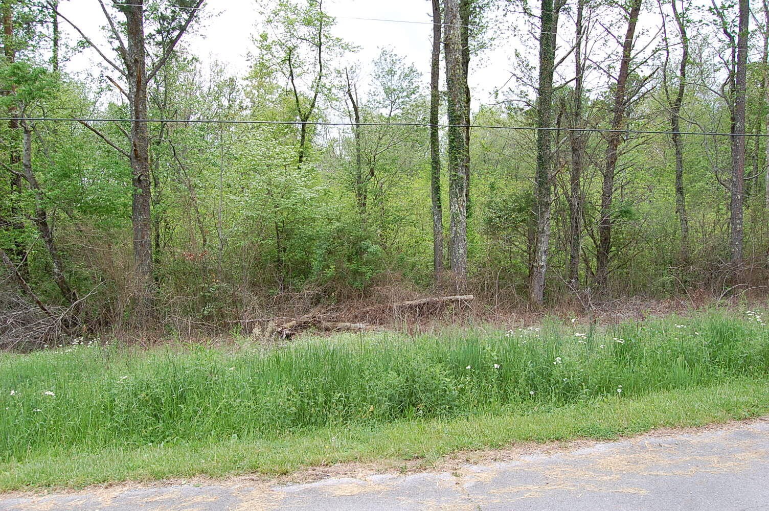 67 51st Avenue Property Photo 5