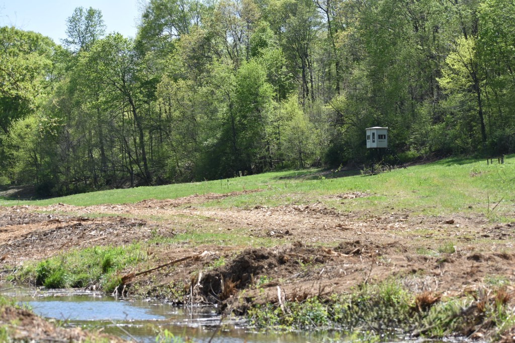 0 Buckner Ridge Road Property Photo