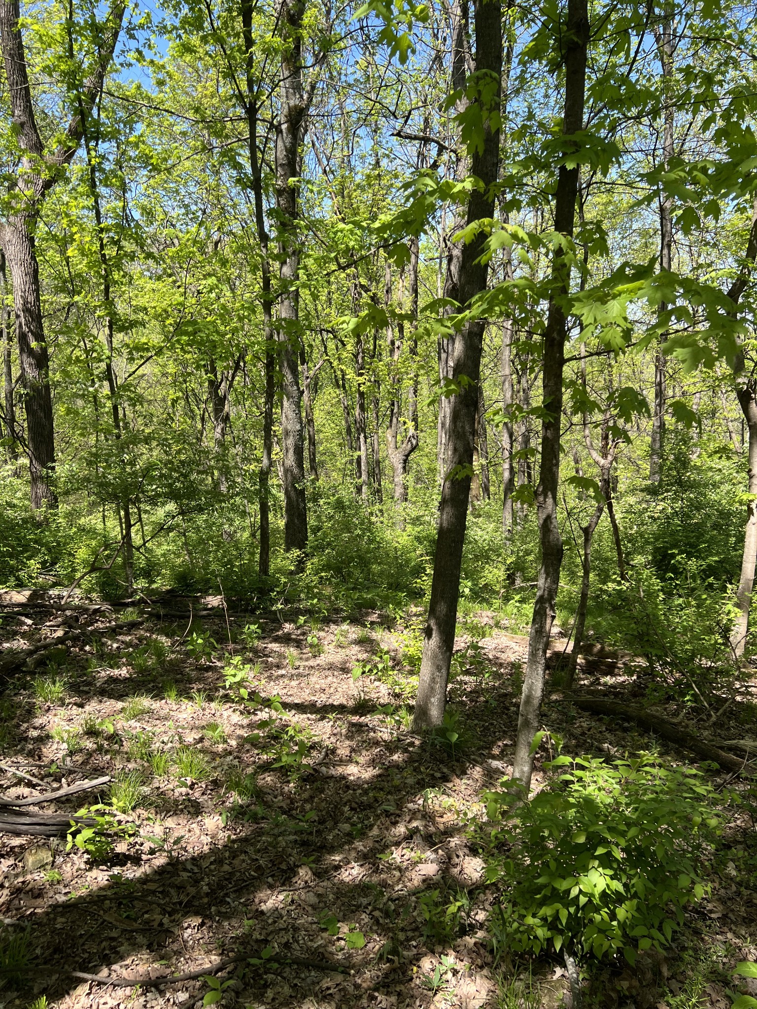 1305 Robert E Lee Ln Property Photo