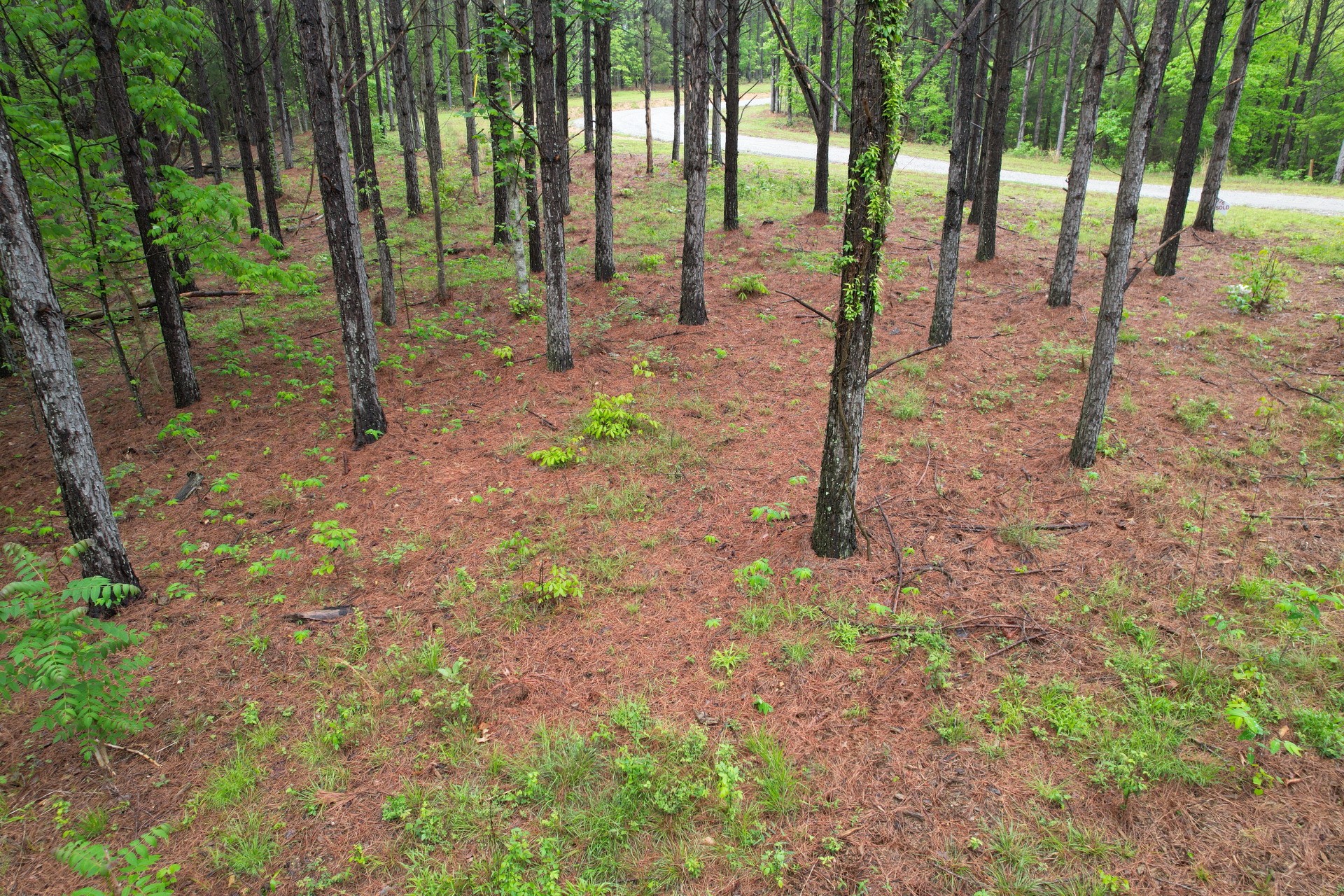 628 Starlight Dr Property Photo 1