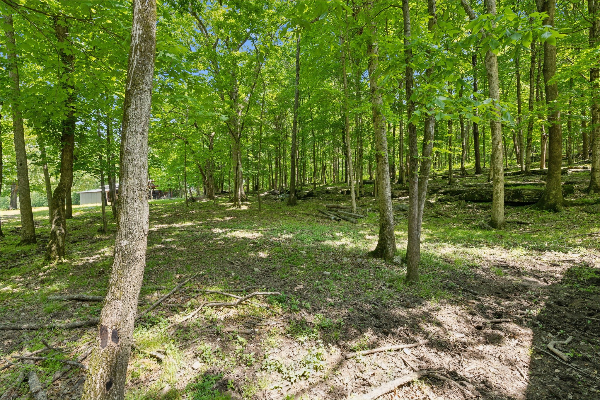 1494 Grant Rd Property Photo 82