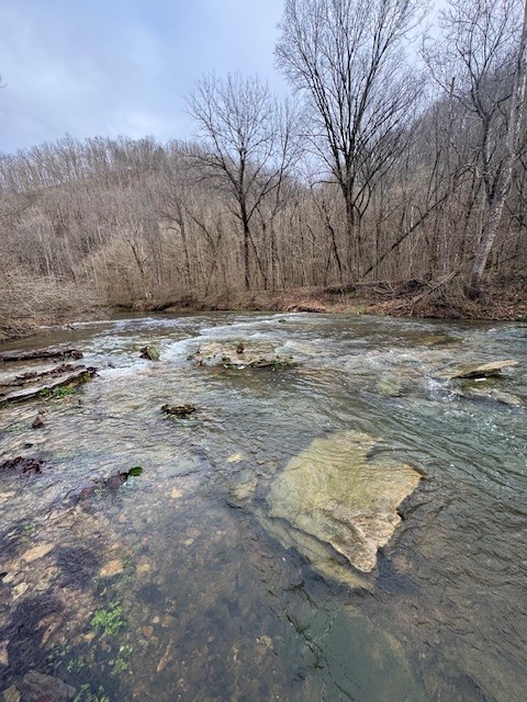 0 Brimstone Creek Rd Property Photo 1