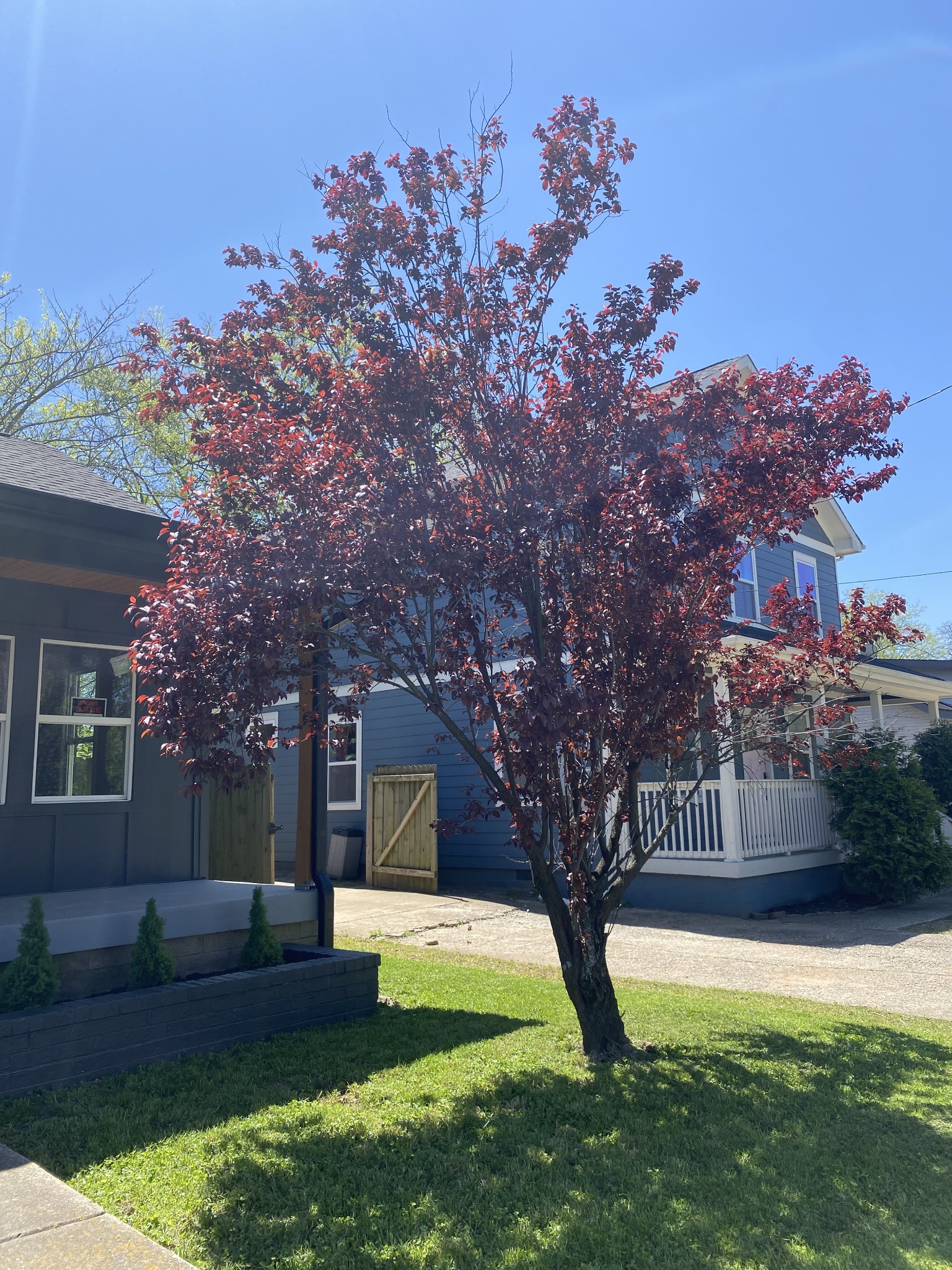 1823 Heiman St Property Photo 18